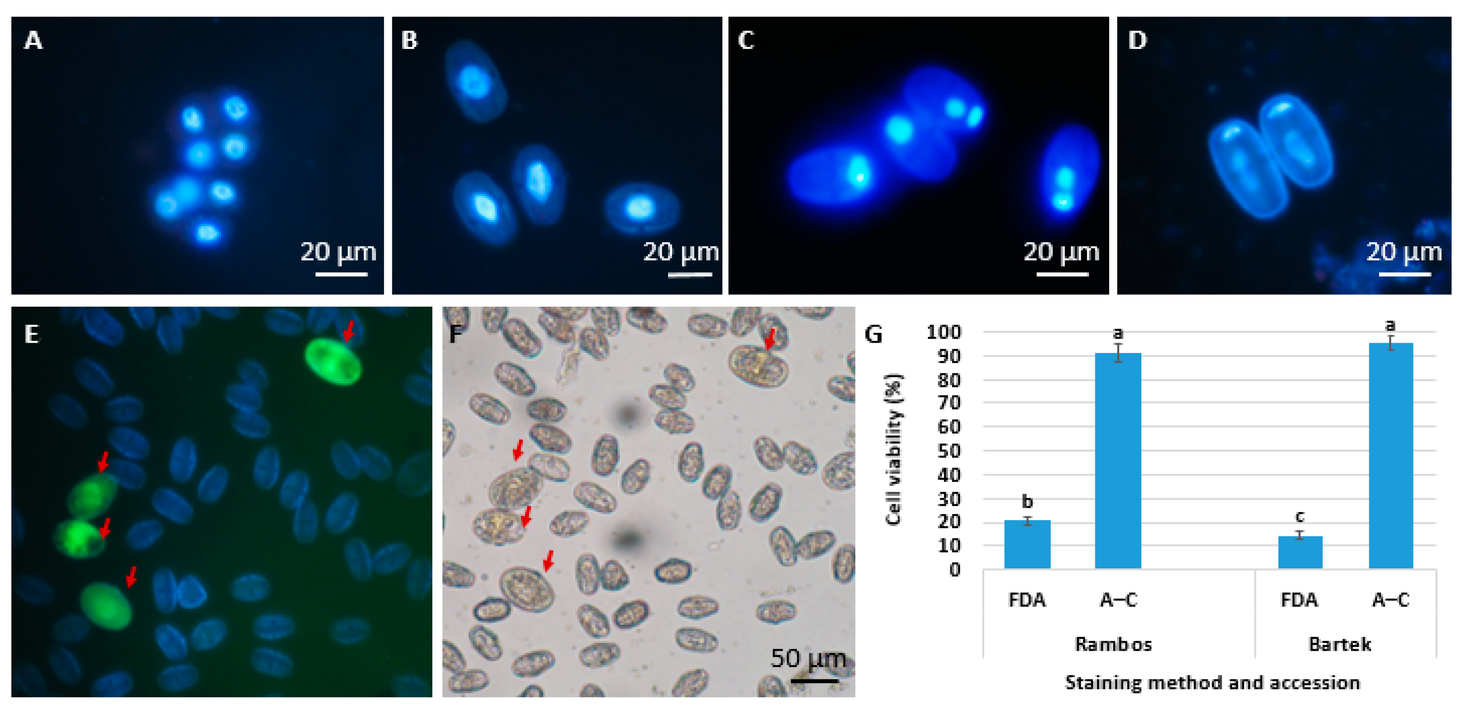 Agriculture 14 01031 g002