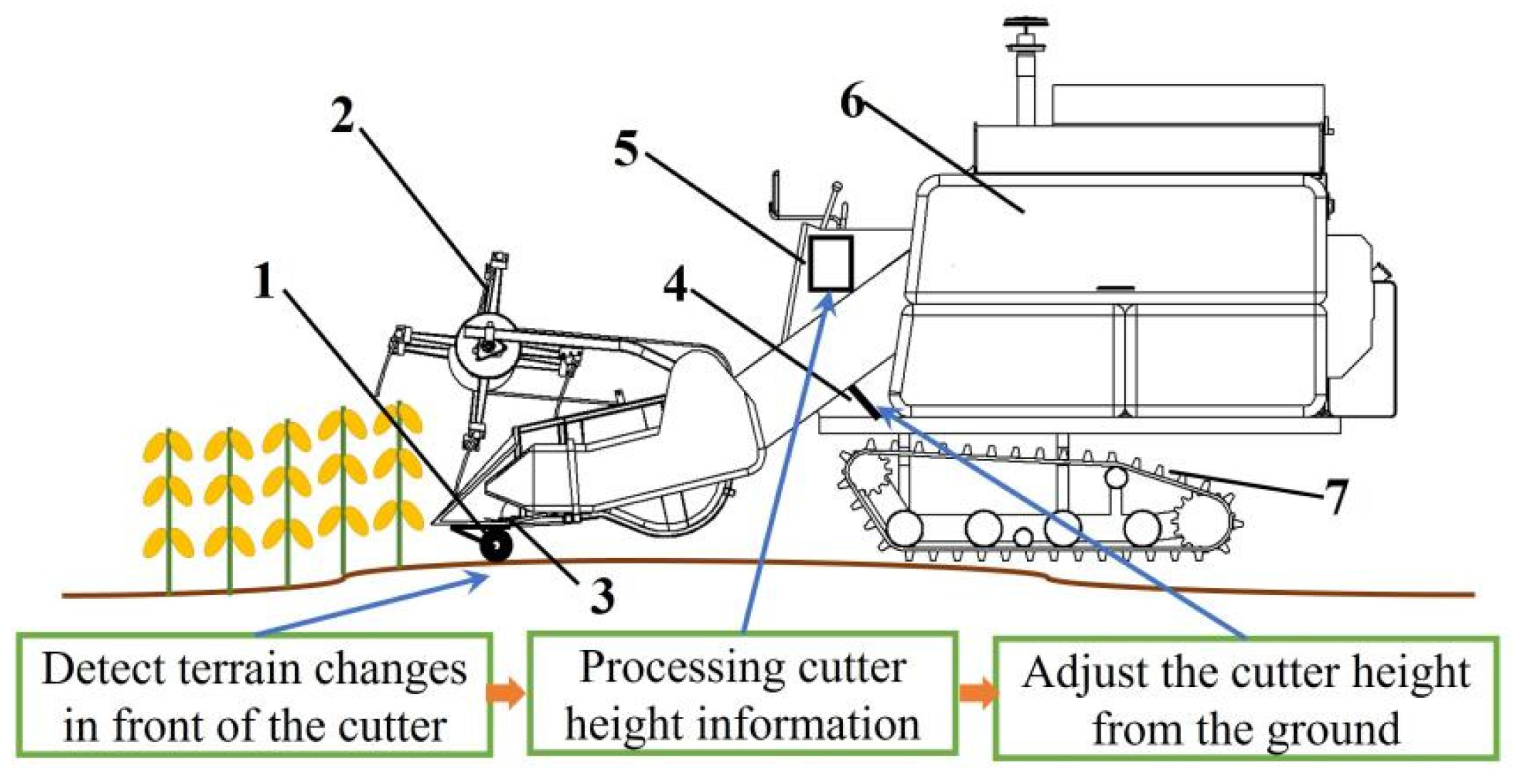 Agriculture 14 01058 g001