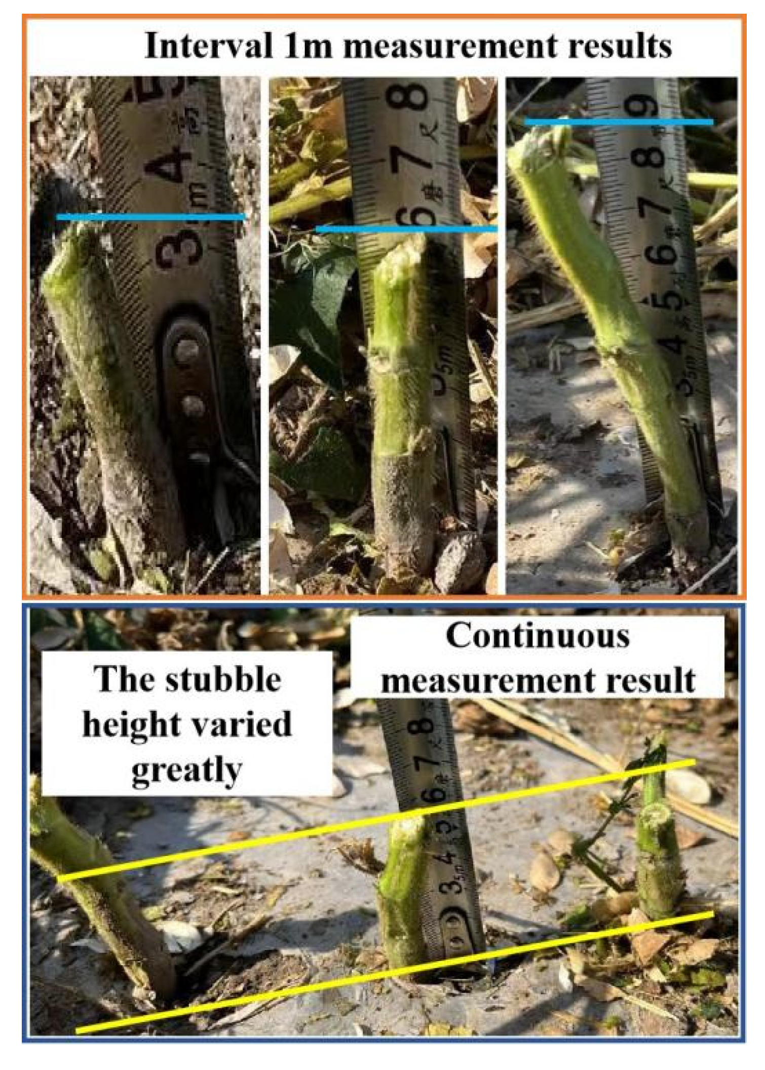 Agriculture 14 01058 g018