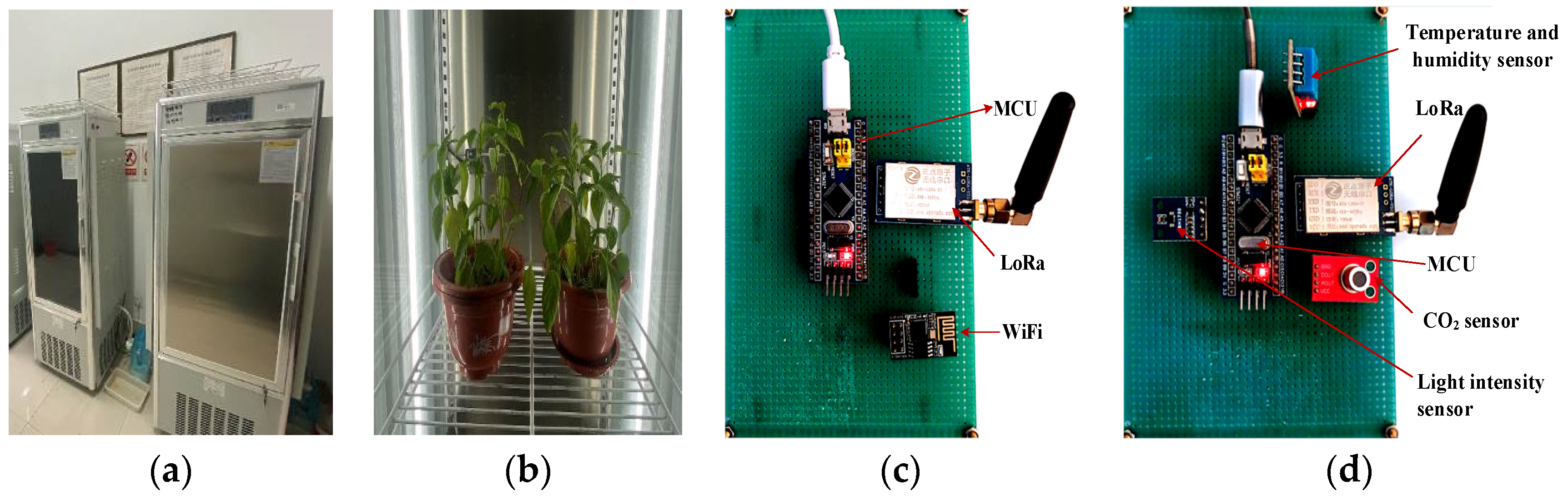 Agriculture 14 01099 g001