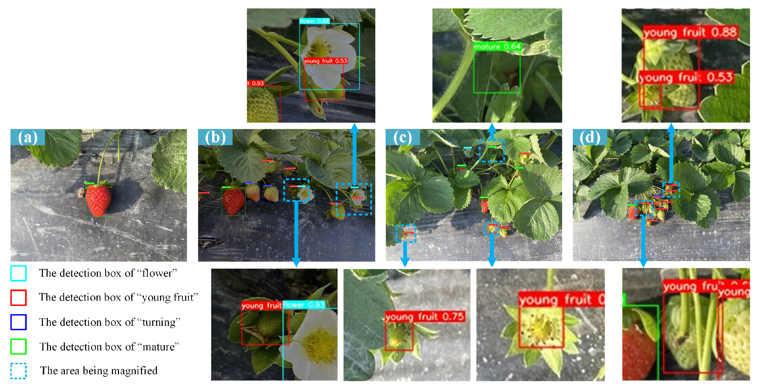 Agriculture 14 01132 g007