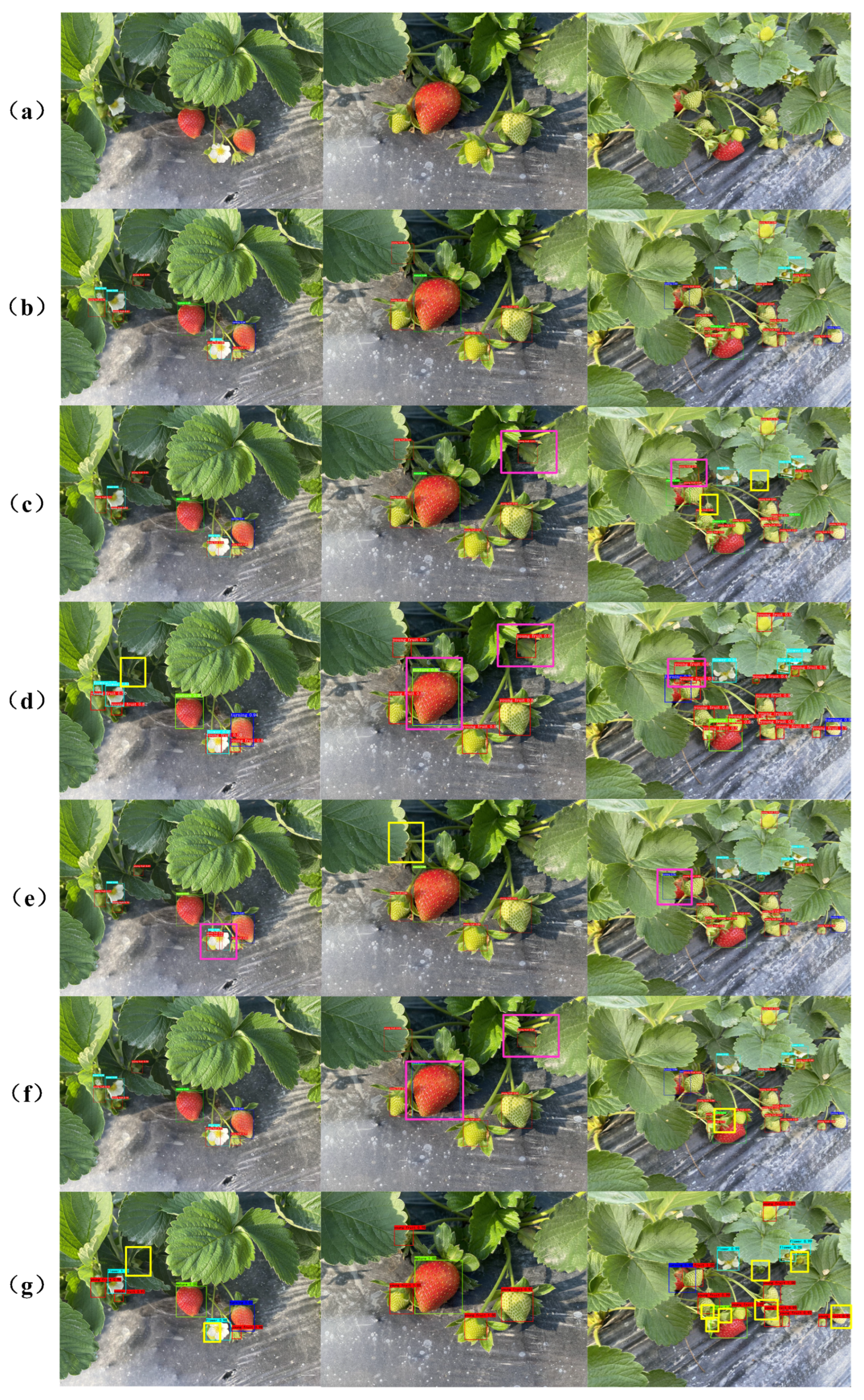 Agriculture 14 01132 g009