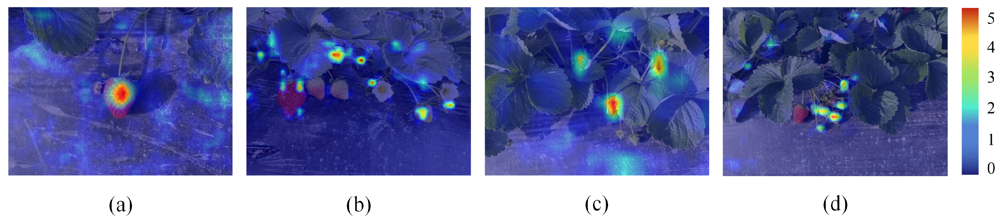 Agriculture 14 01132 g010