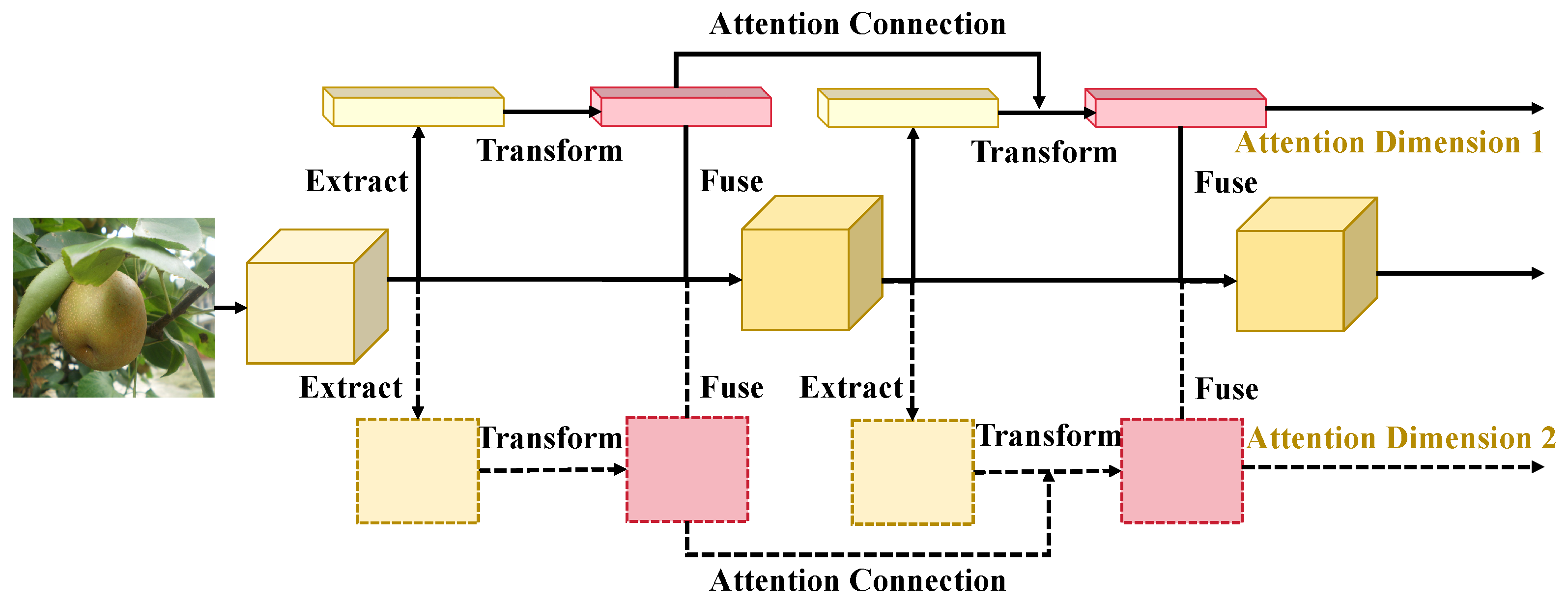 Agriculture 14 01146 g004