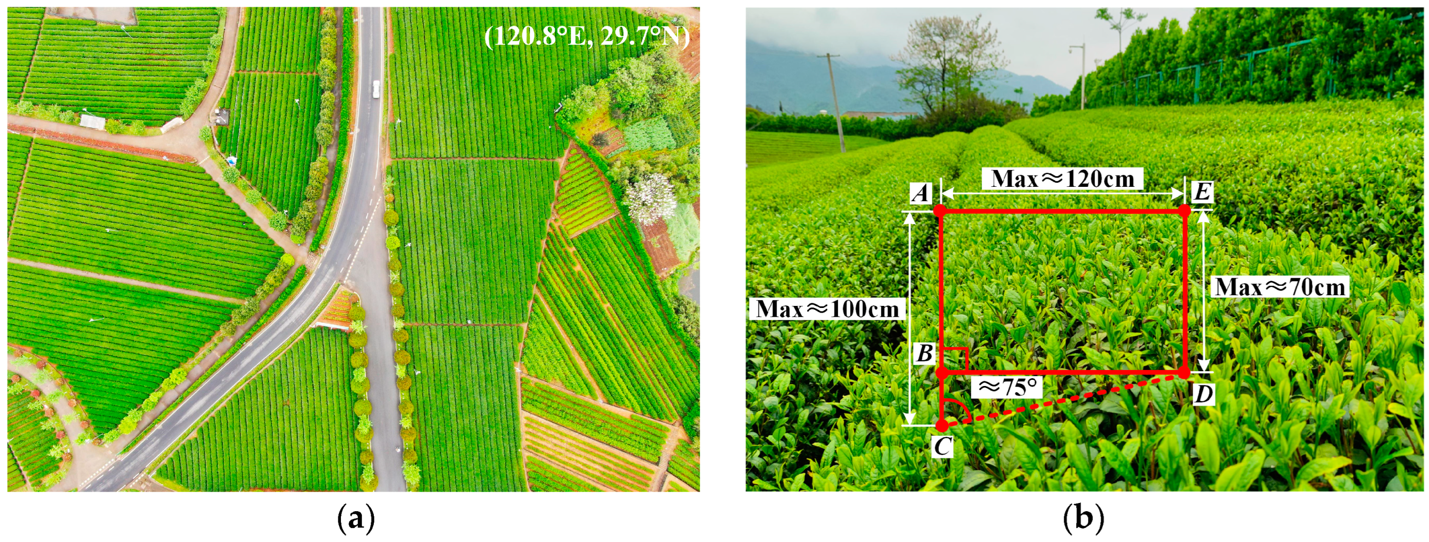 Agriculture 14 01147 g016