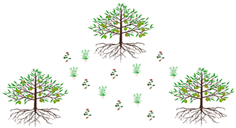 Agriculture 14 01149 i001