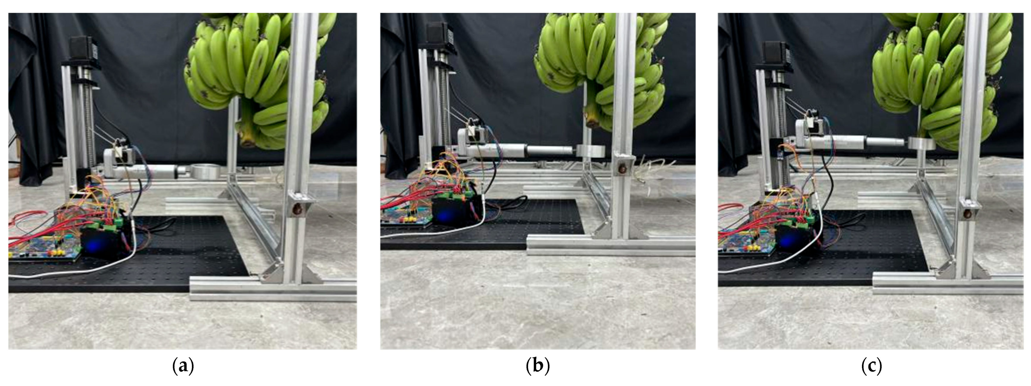 Agriculture 14 01161 g012