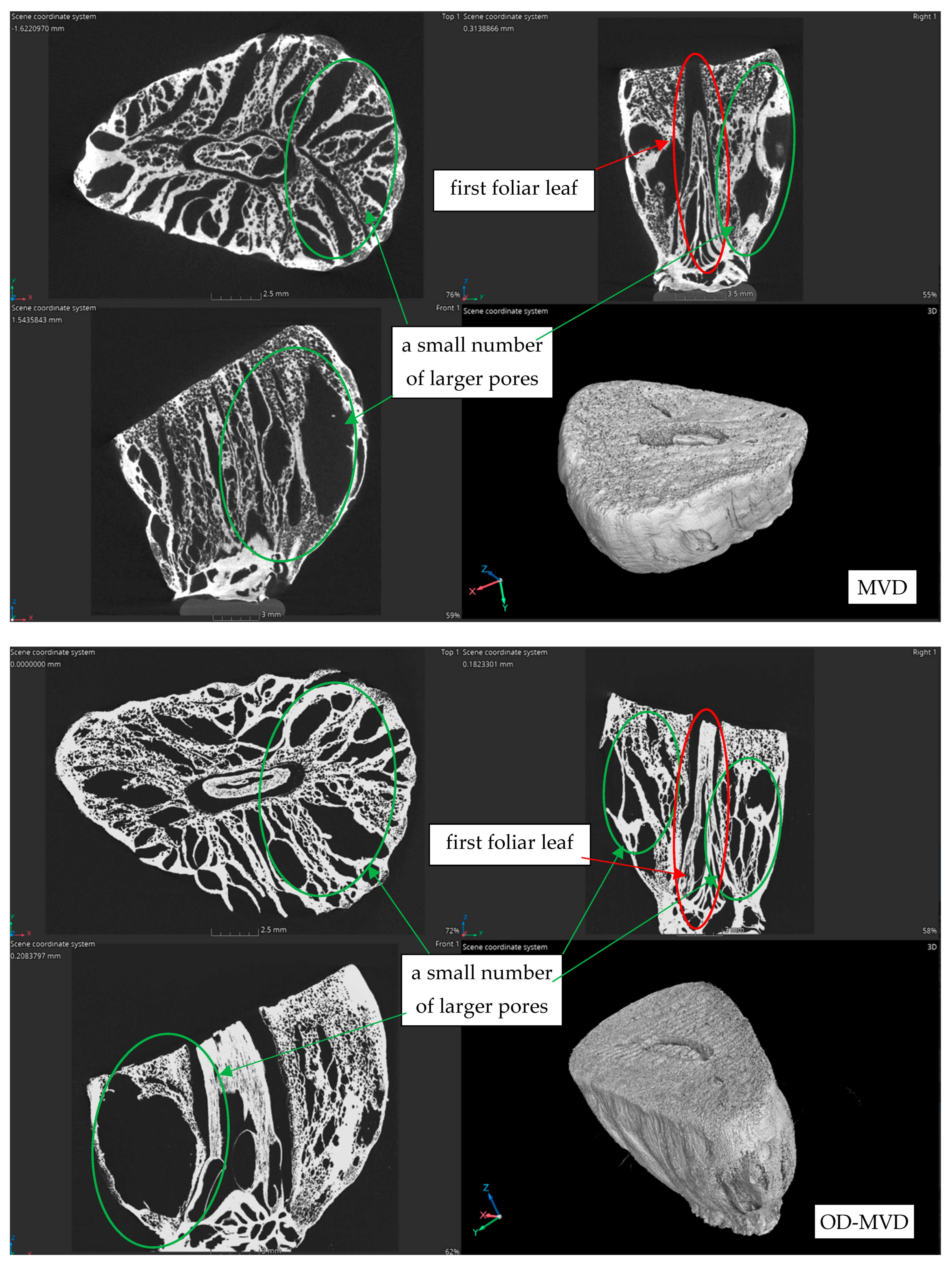 Agriculture 14 01164 g008b