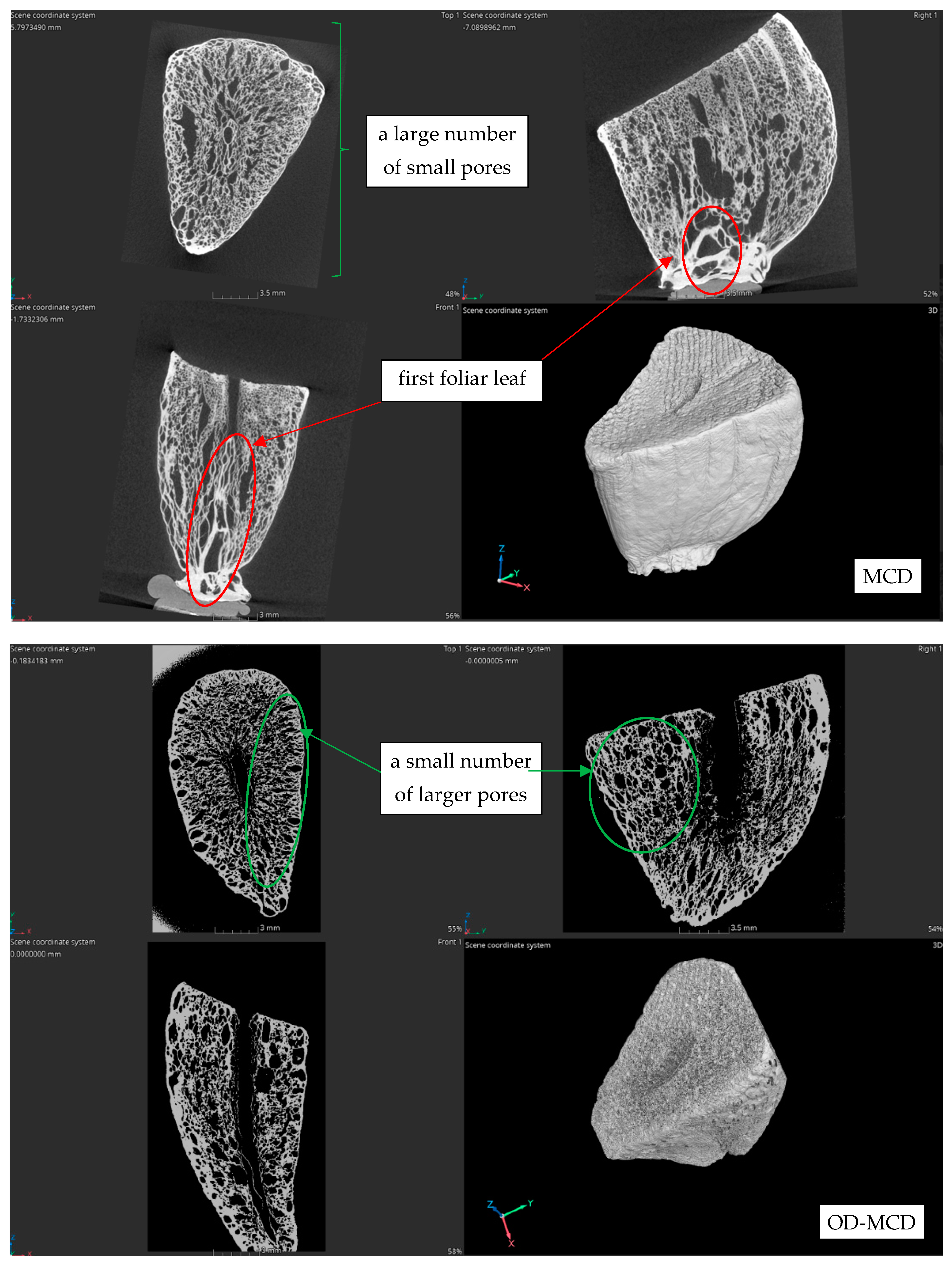 Agriculture 14 01164 g008c