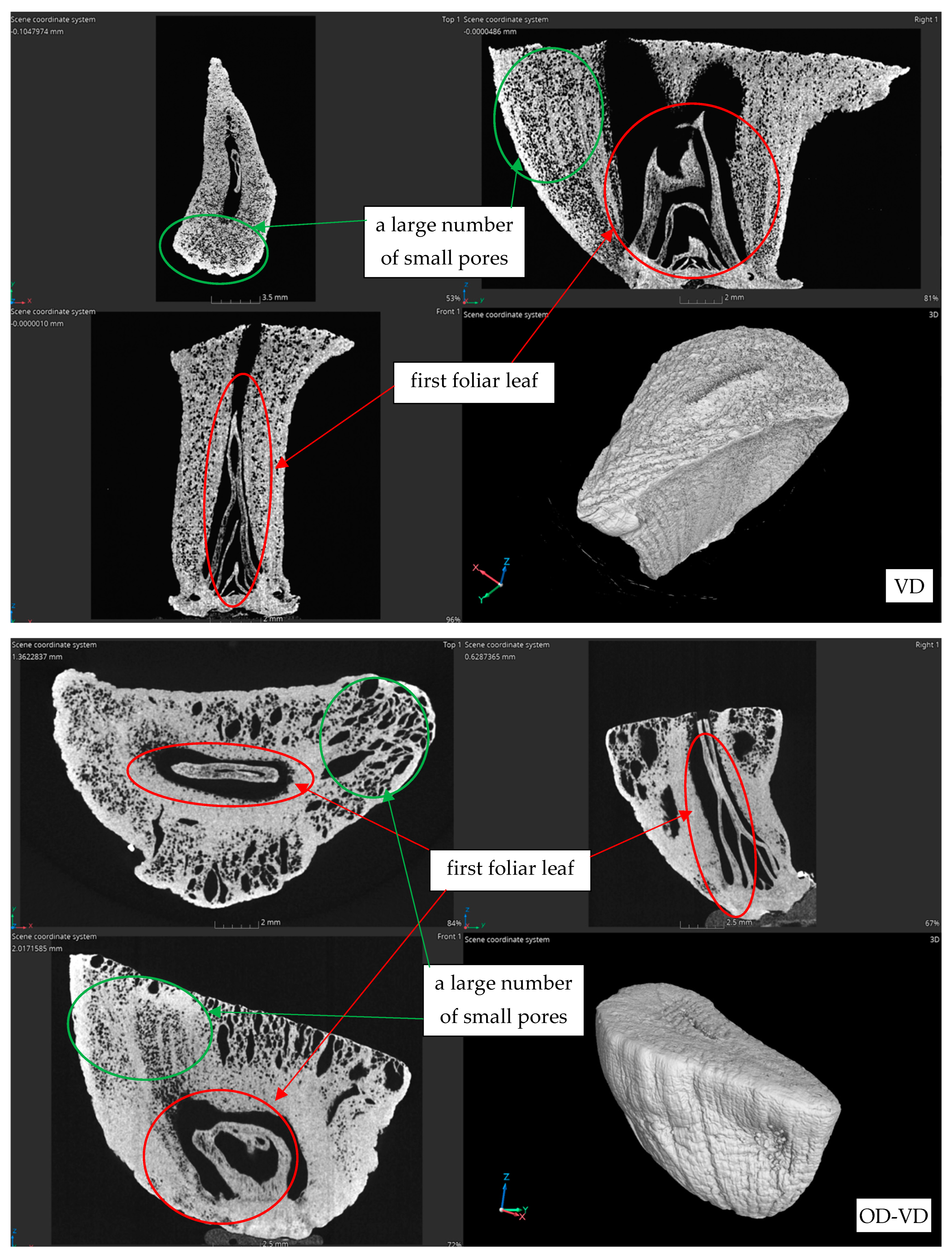 Agriculture 14 01164 g008d