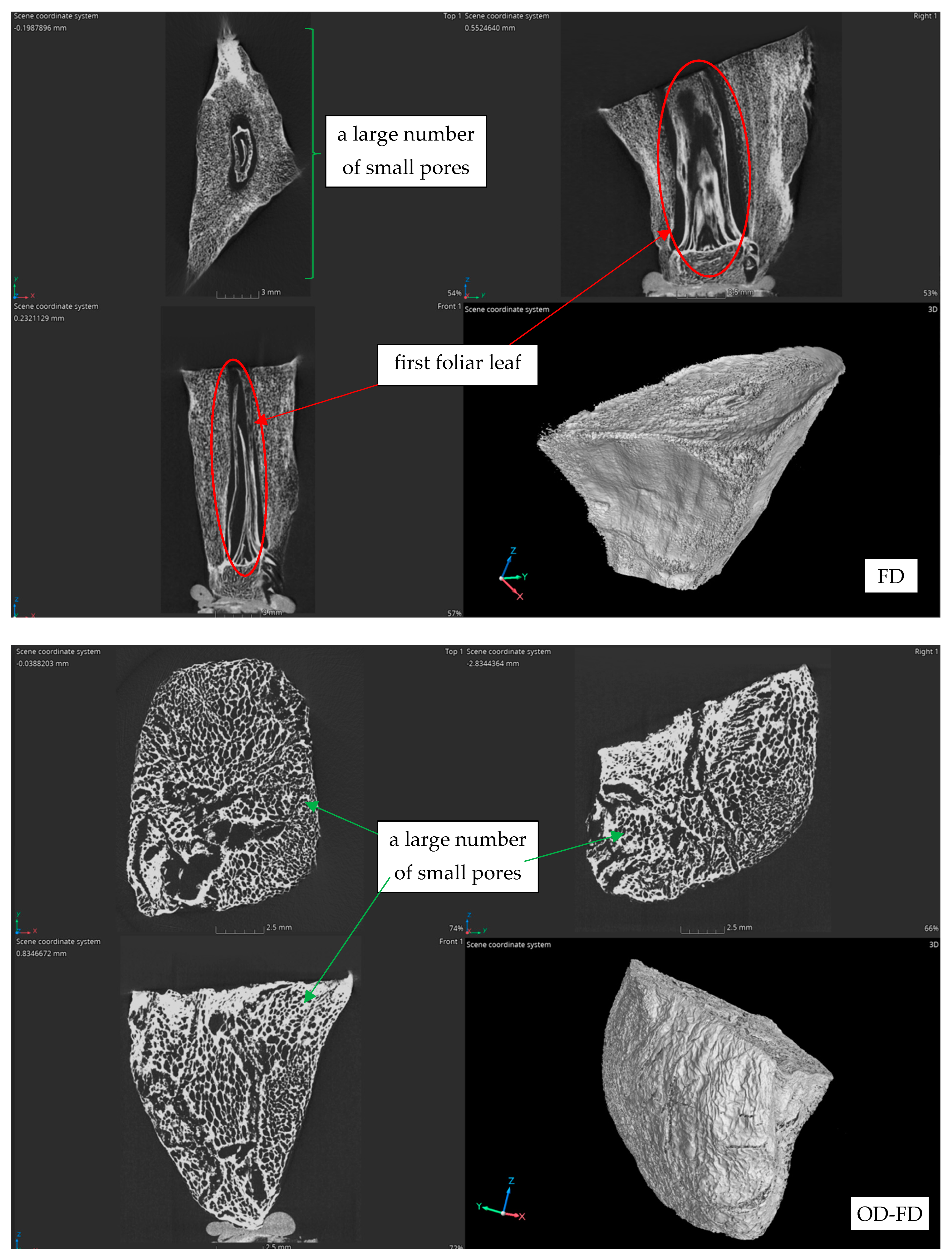 Agriculture 14 01164 g008f