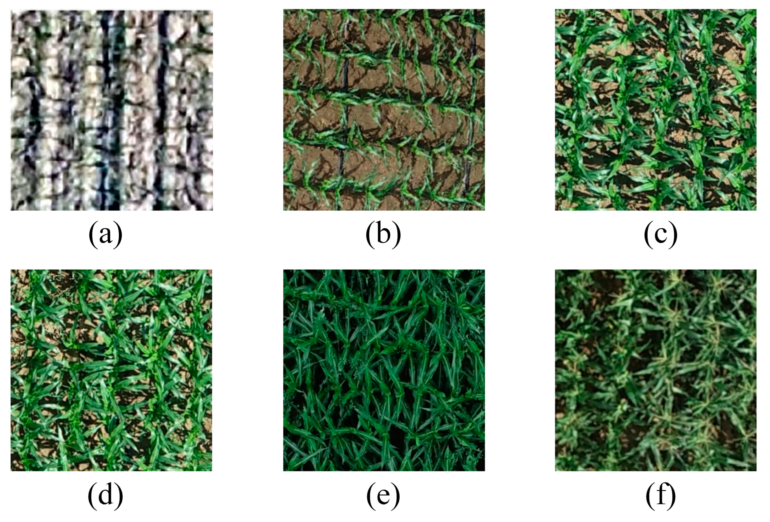 Agriculture 14 01175 g002