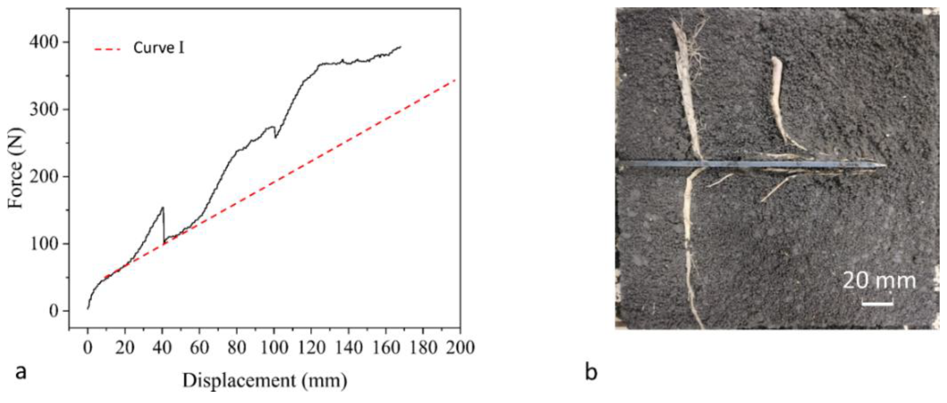 Agriculture 14 01179 g008