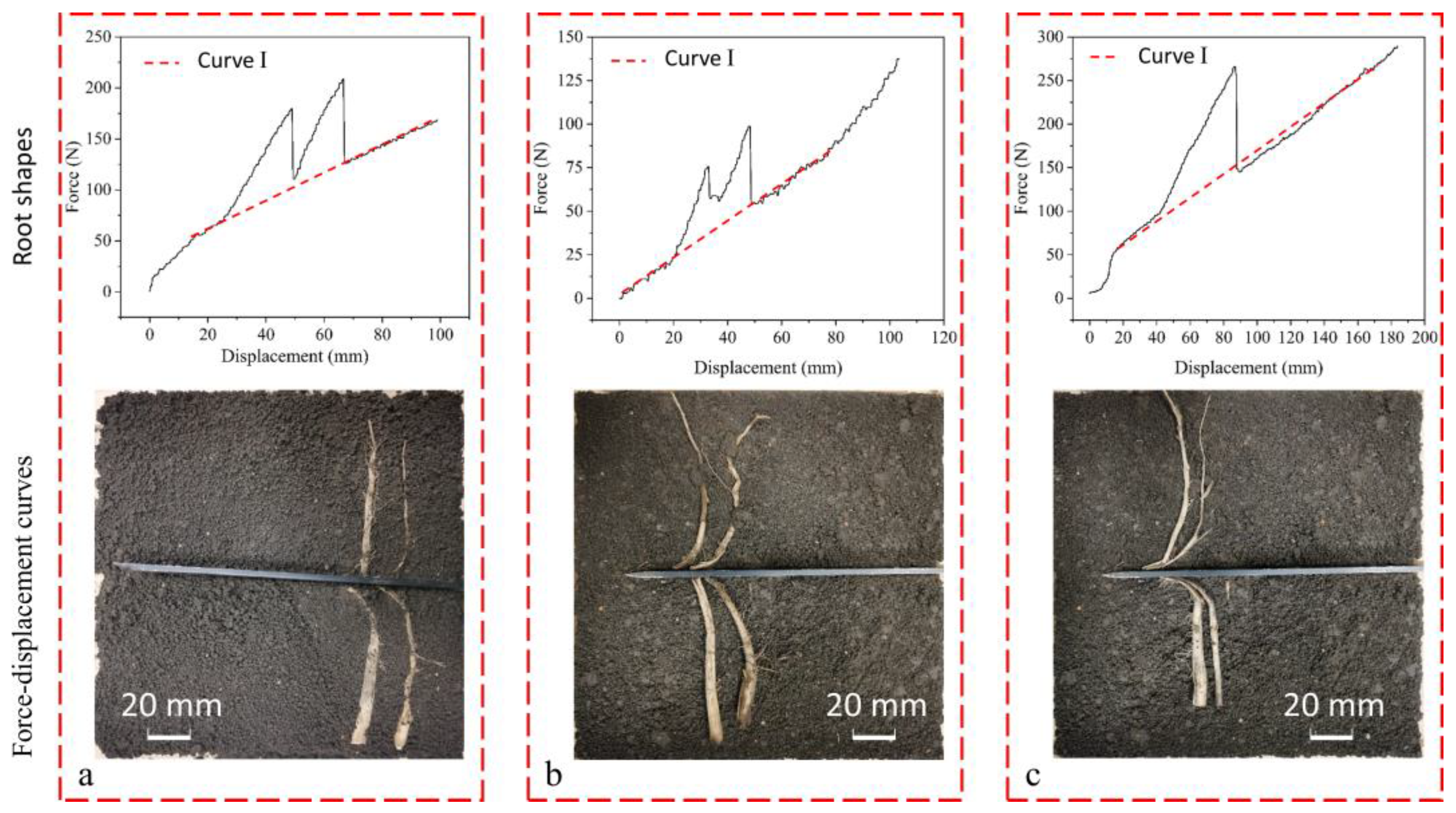 Agriculture 14 01179 g009