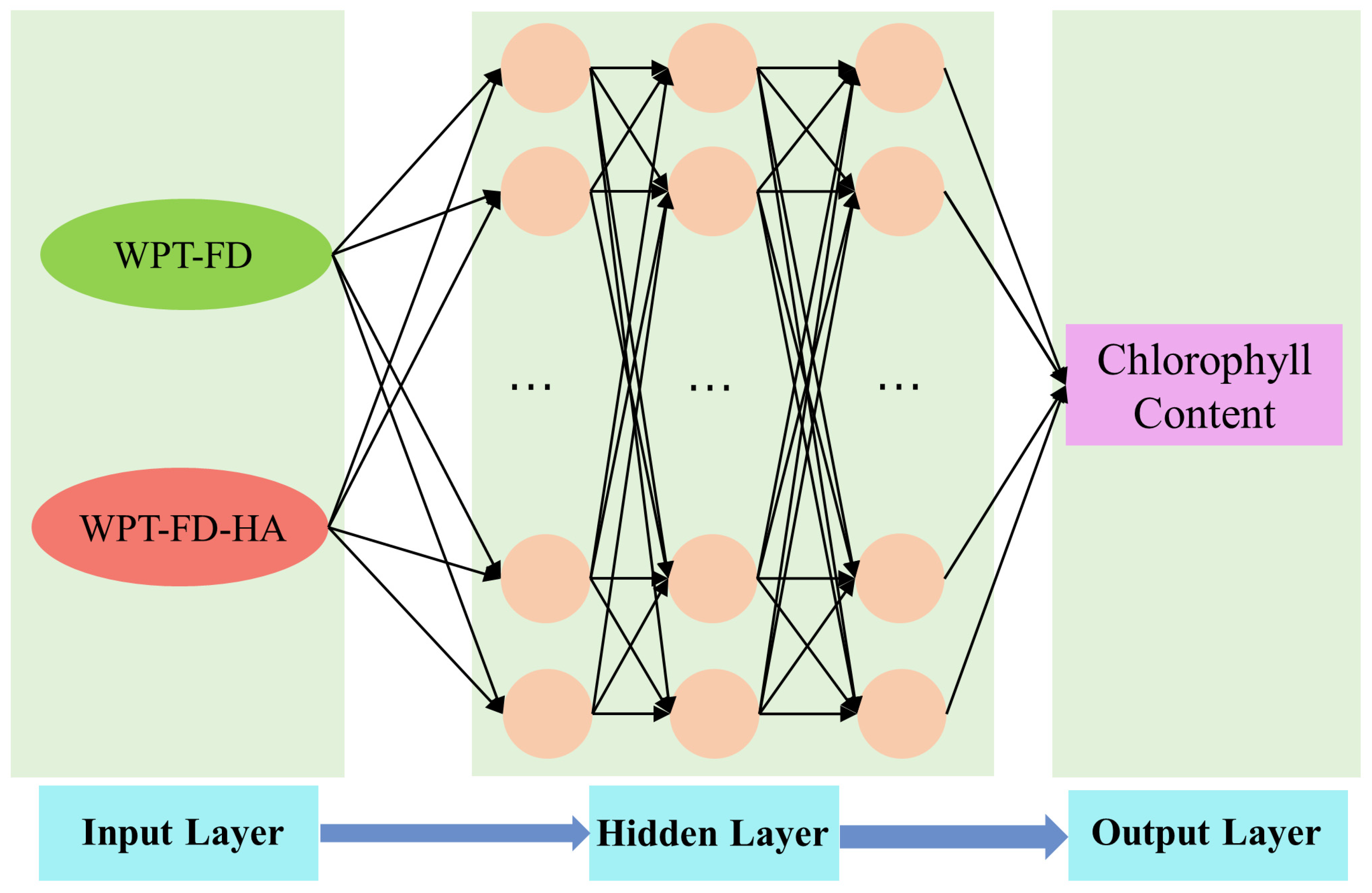 Agriculture 14 01186 g002