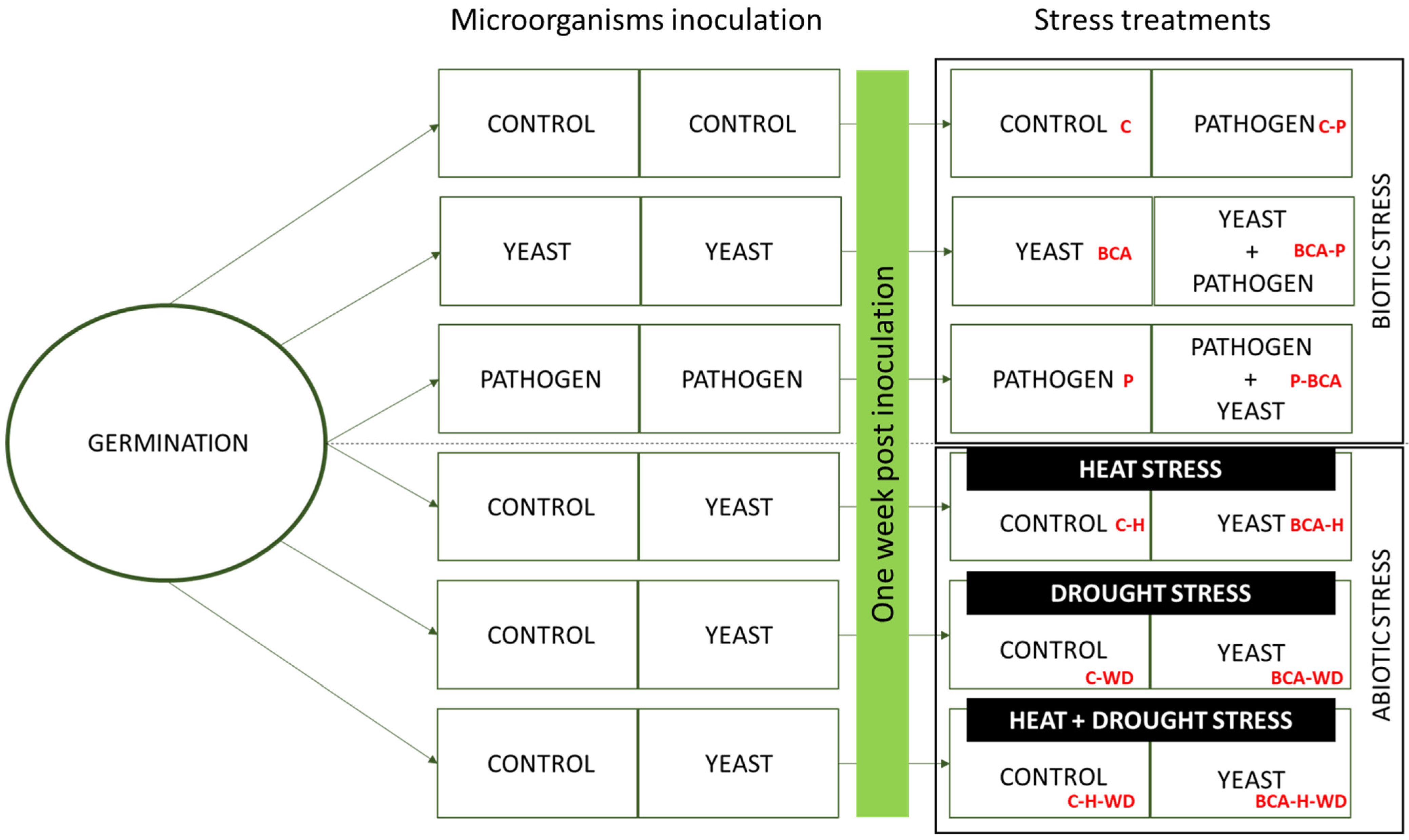 Agriculture 14 01189 g001