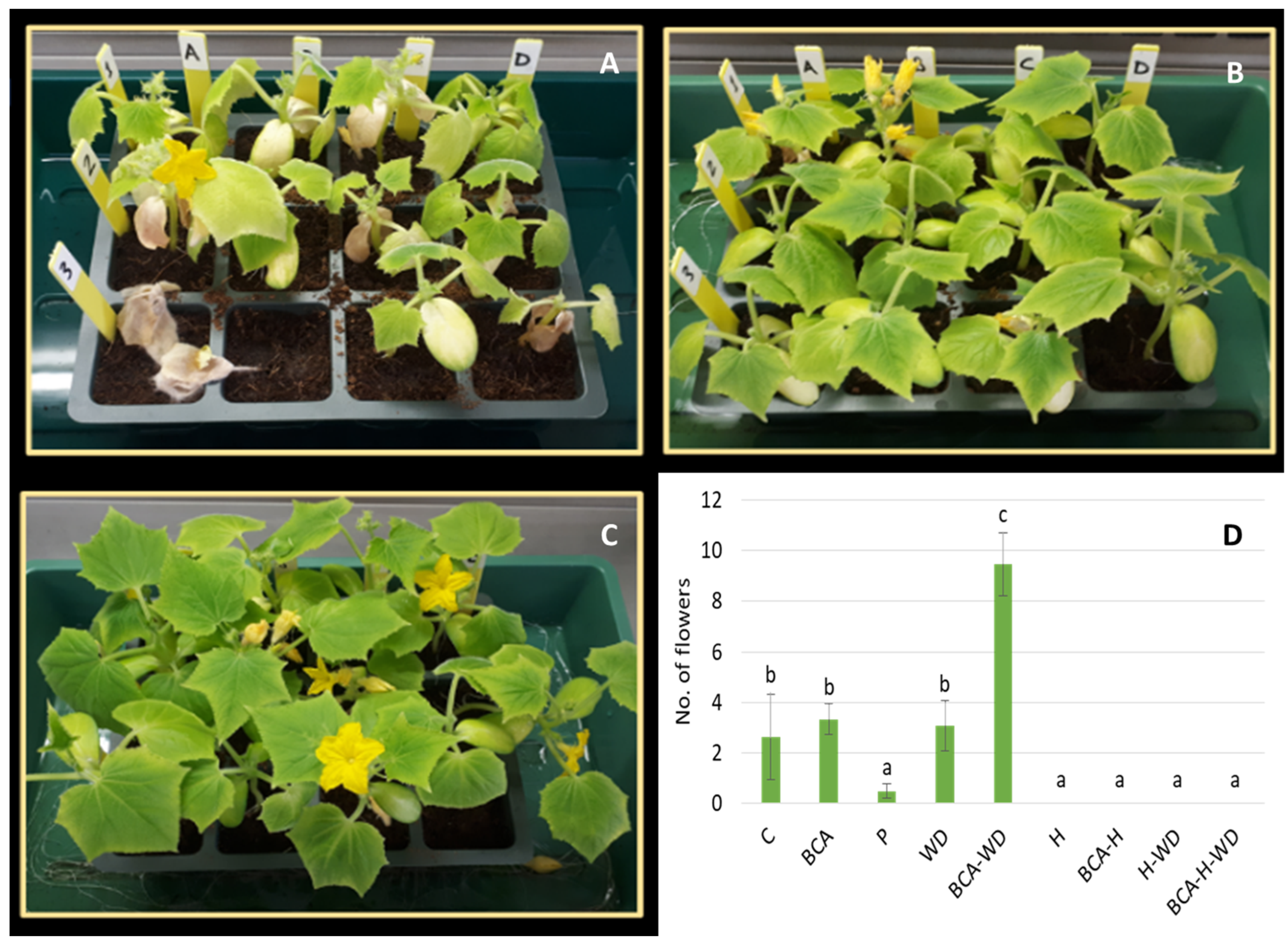 Agriculture 14 01189 g003