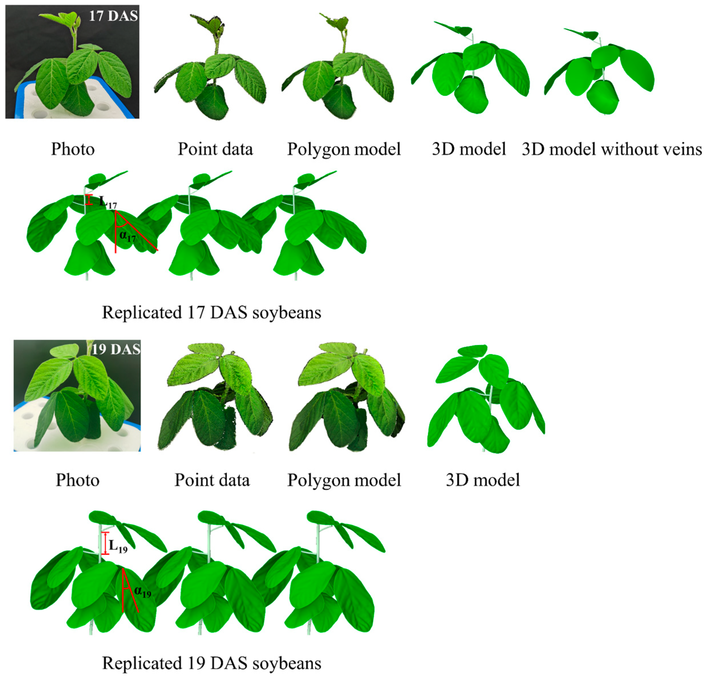 Agriculture 14 01199 g003