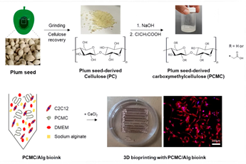Agriculture 14 01207 i001