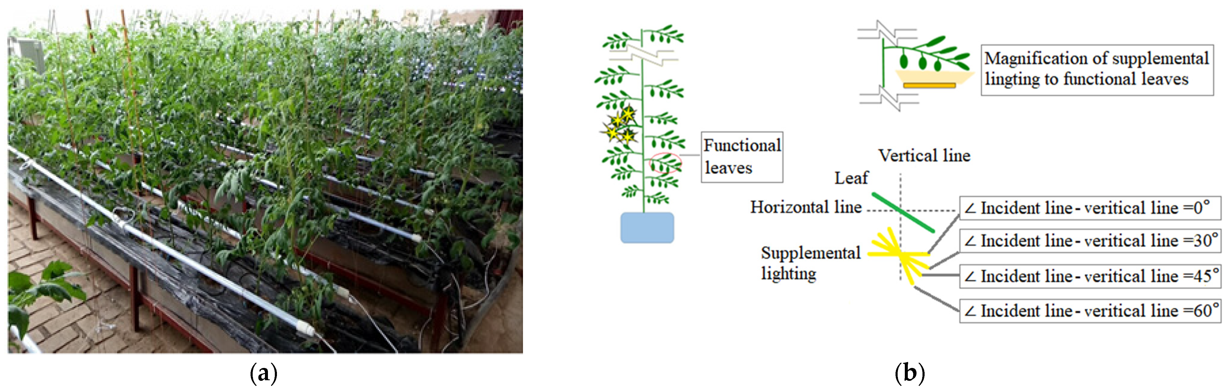 Agriculture 14 01209 g003