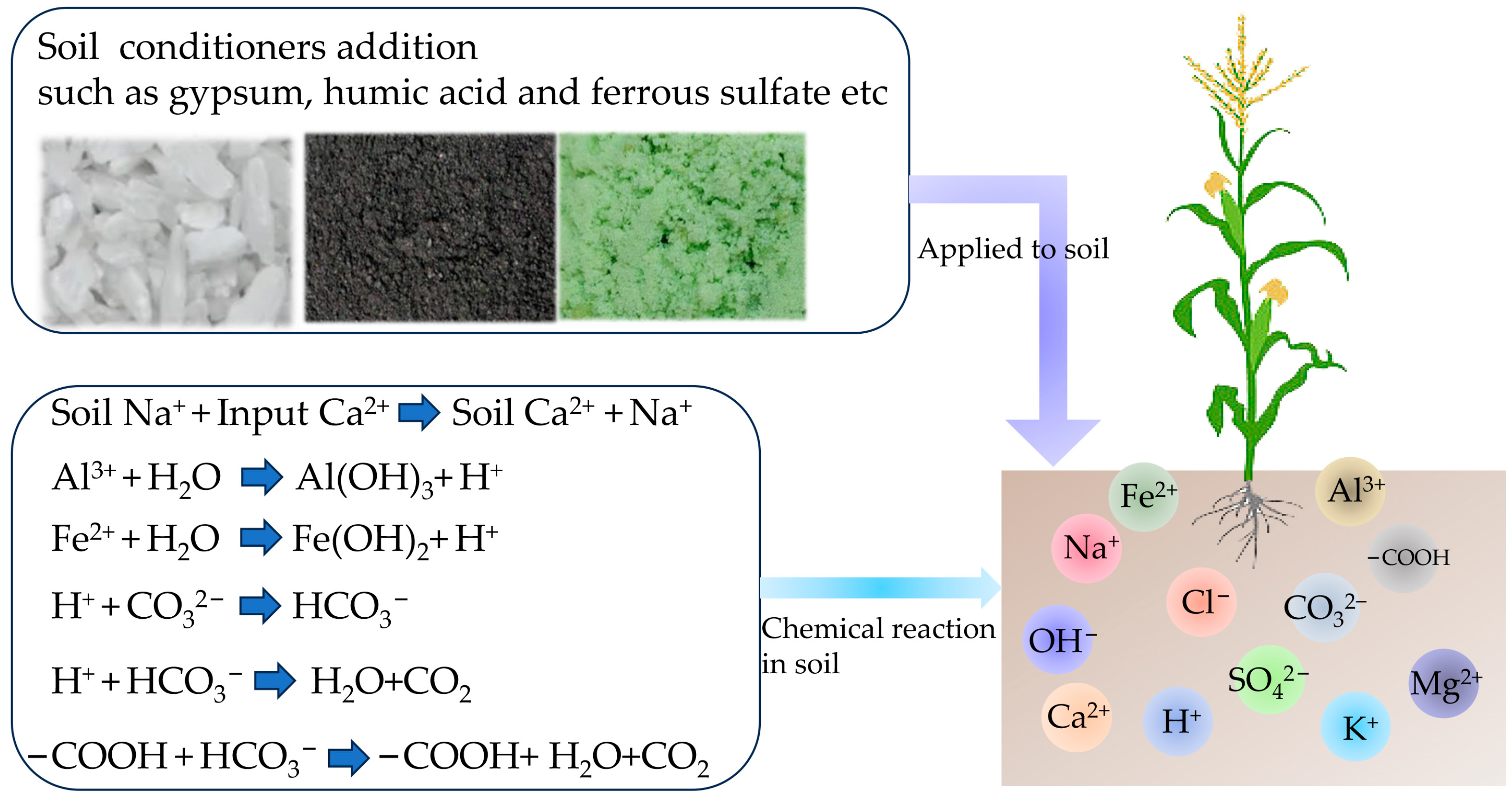 Saline–Alkali Soil Reclamation Contributes to Soil Health Improvement ...