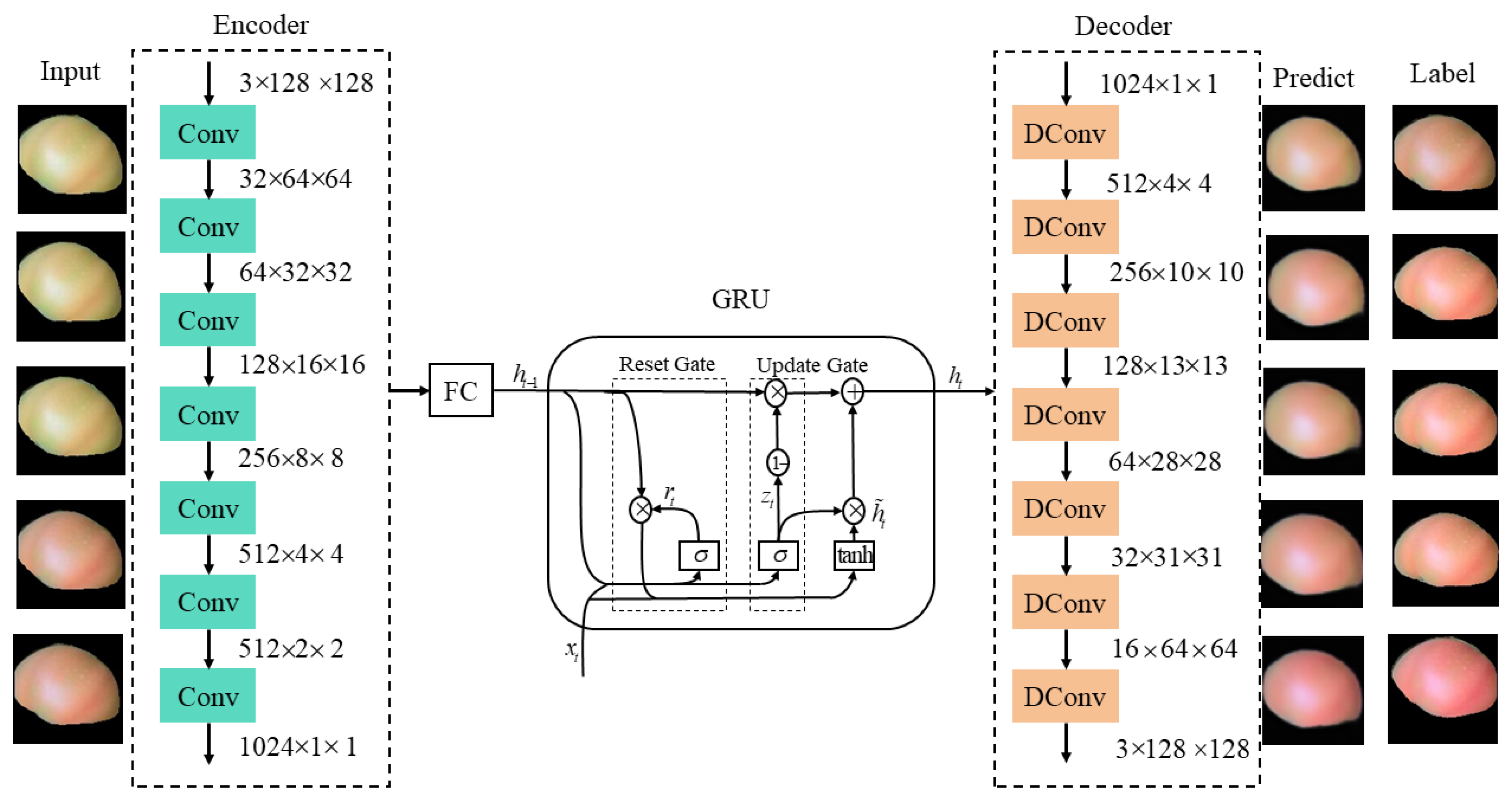 Agriculture 14 01211 g007