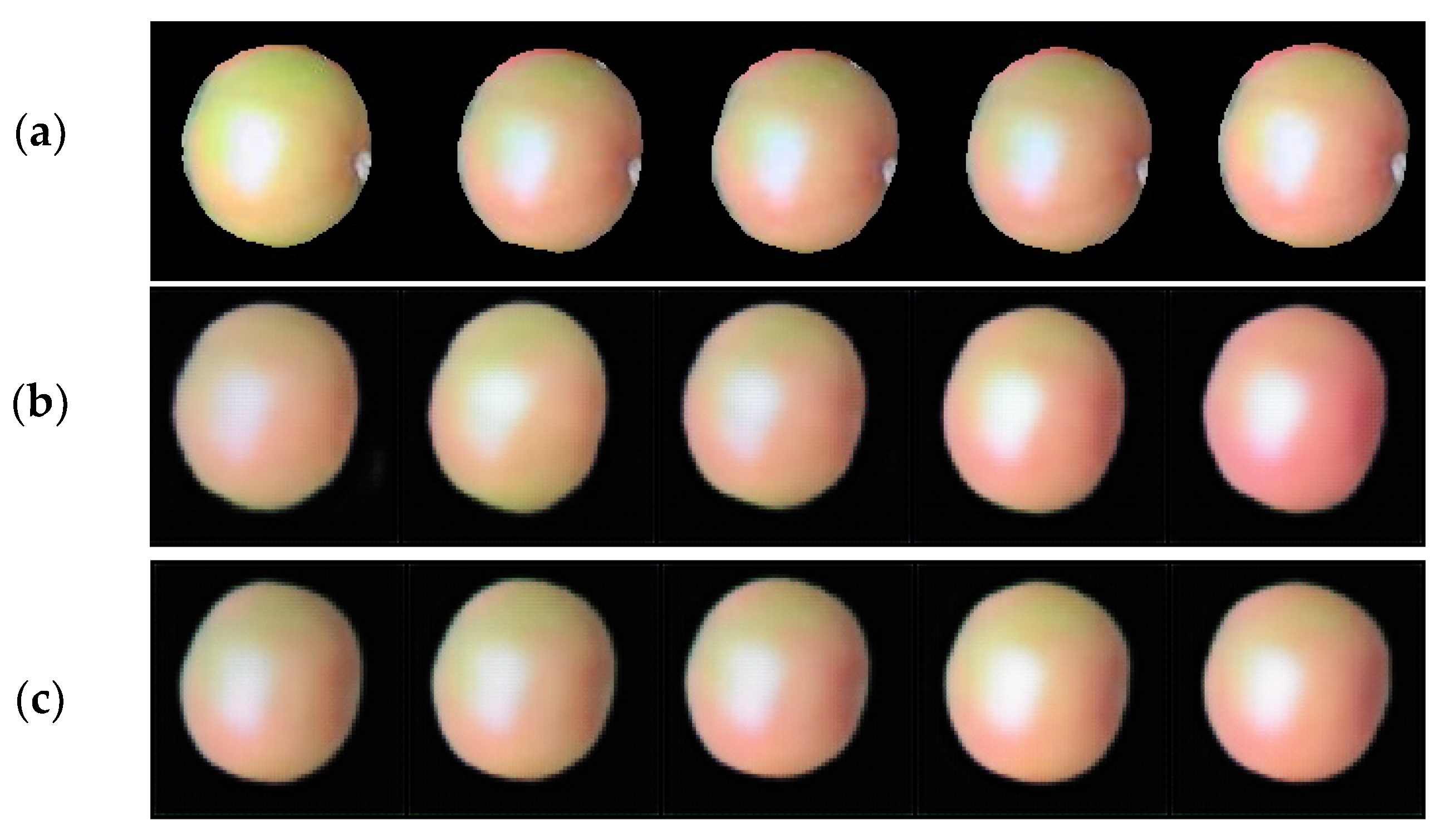 Agriculture 14 01211 g008