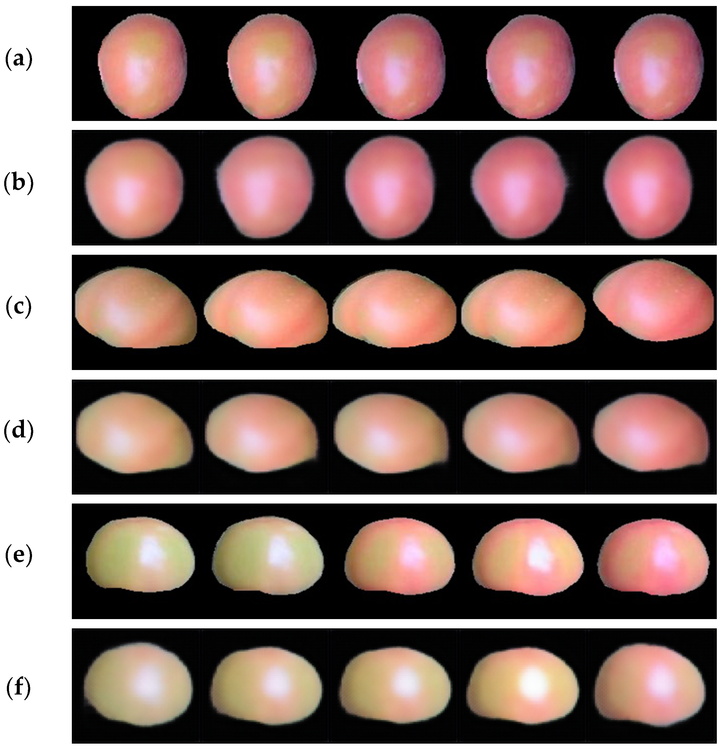 Agriculture 14 01211 g011