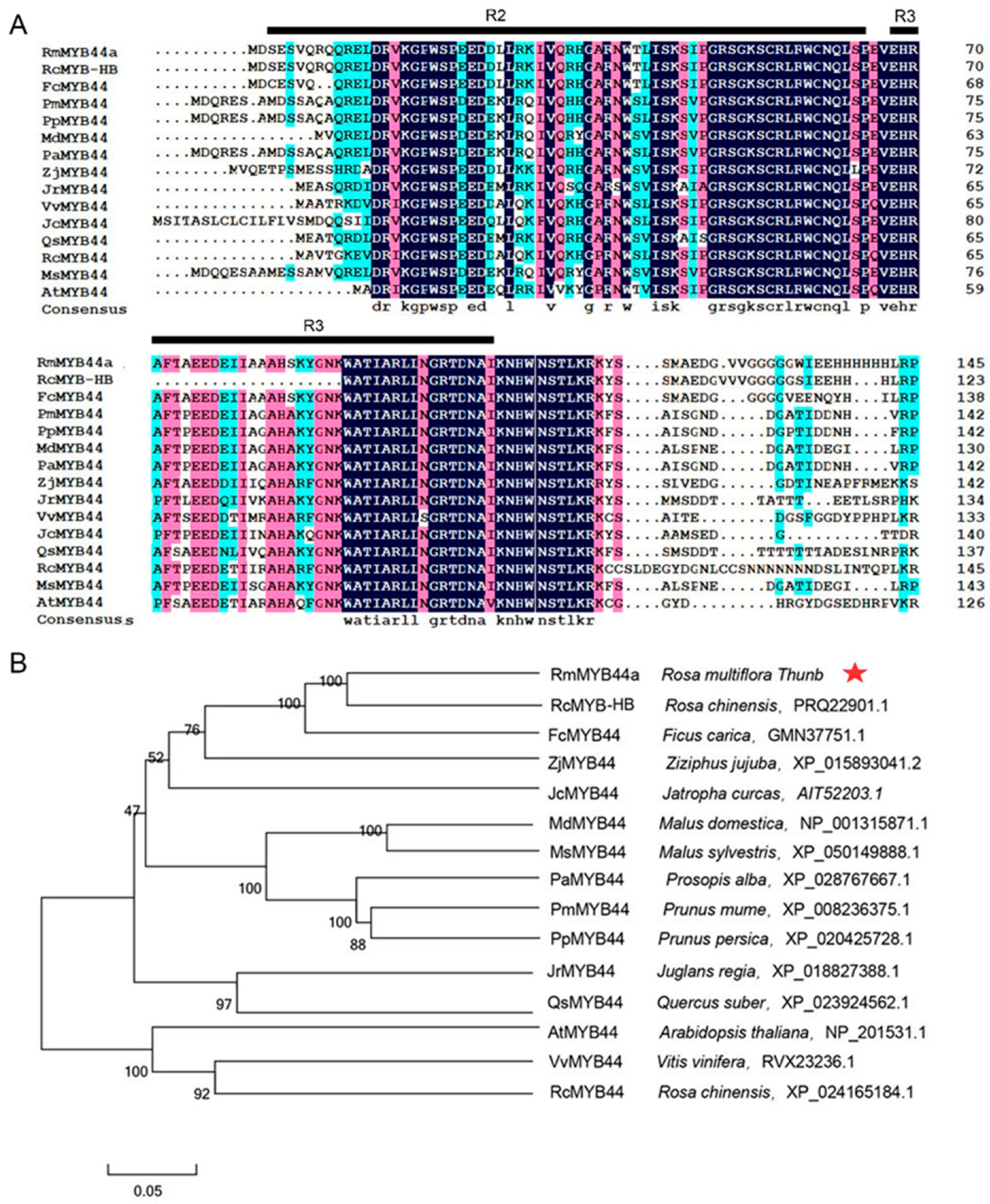 Agriculture 14 01212 g001
