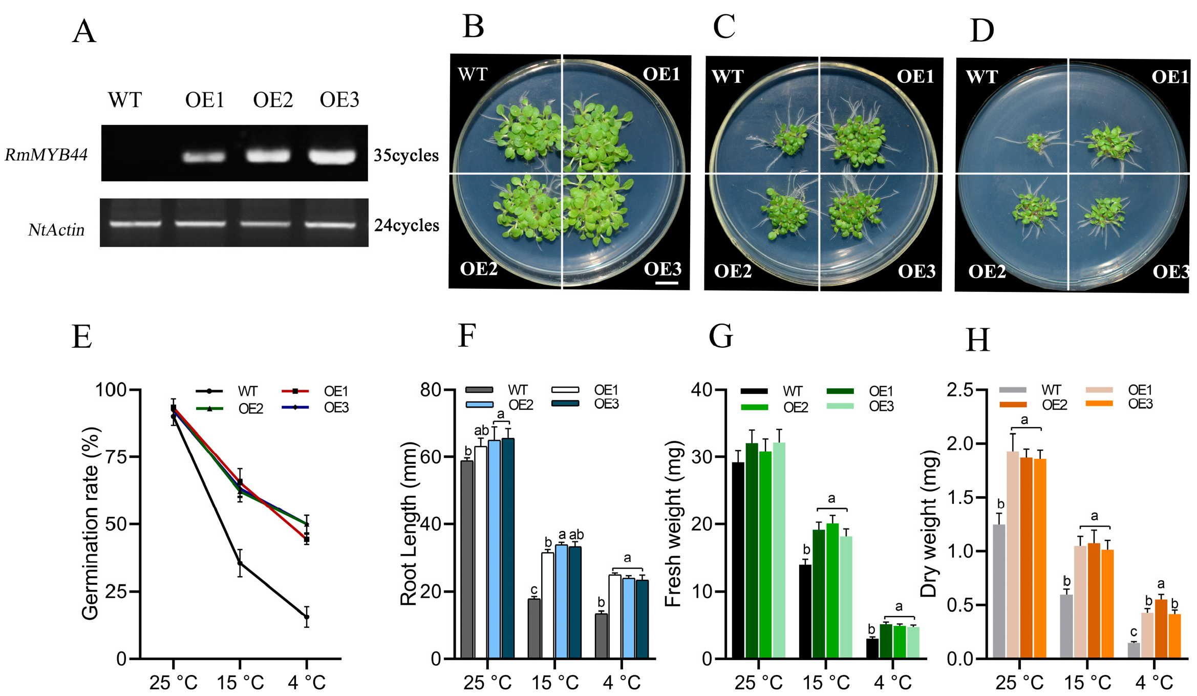 Agriculture 14 01212 g003