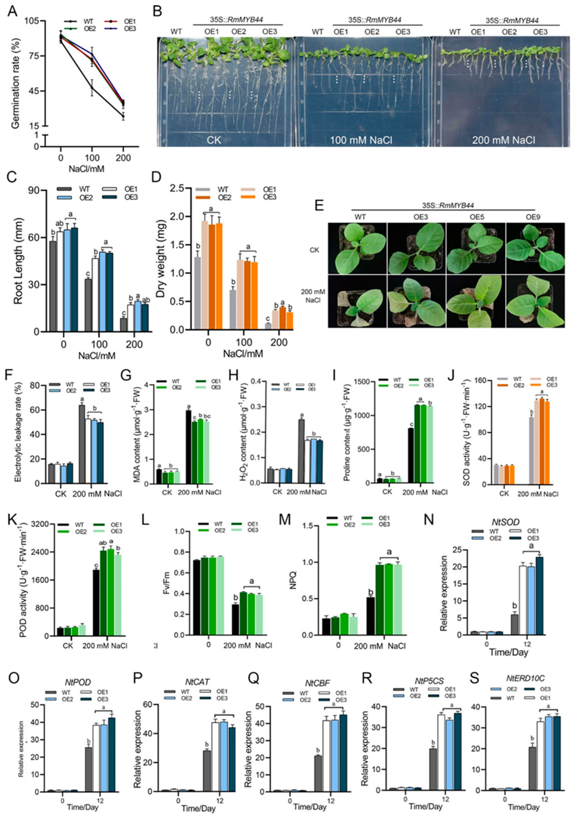 Agriculture 14 01212 g005