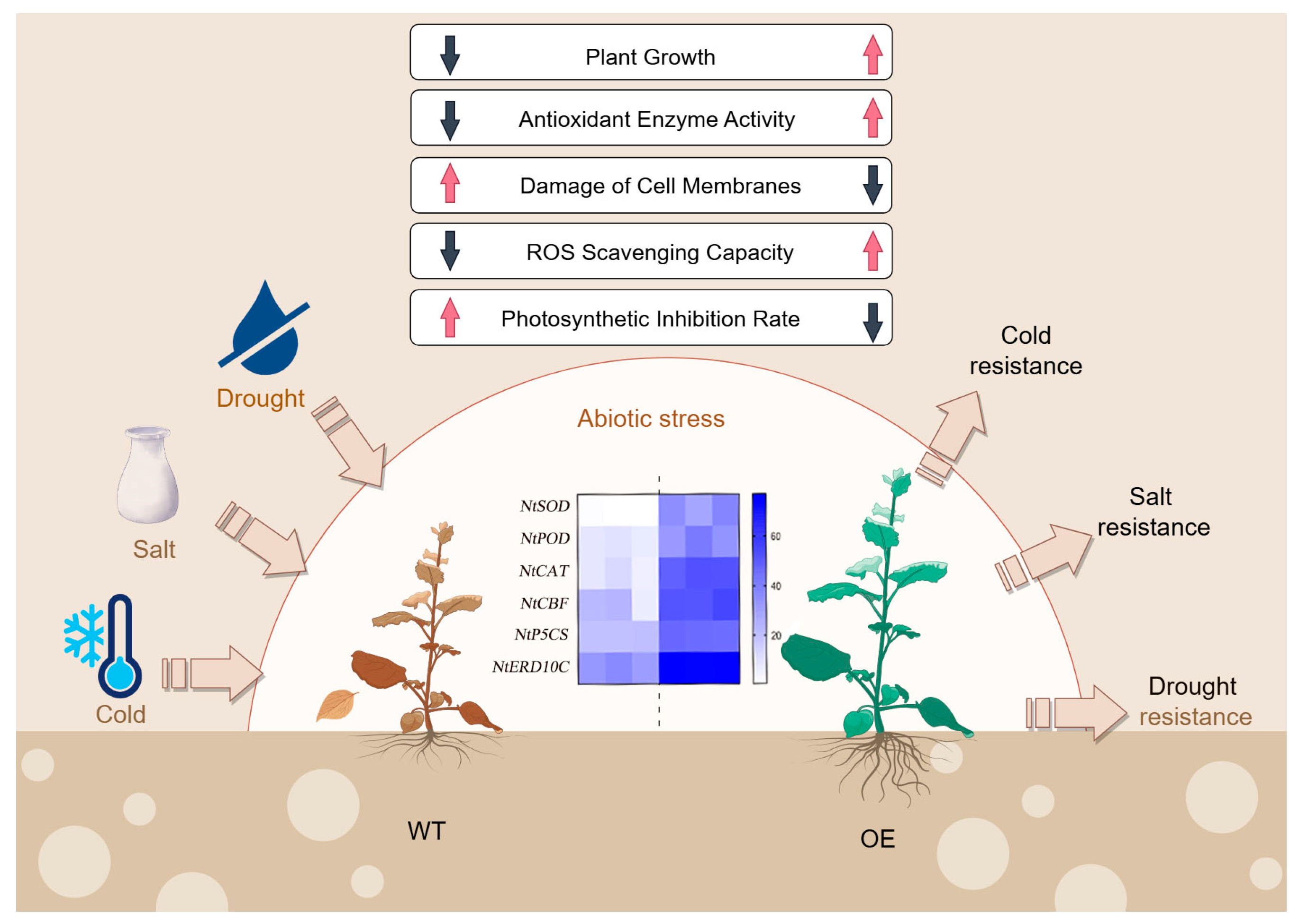 Agriculture 14 01212 g007