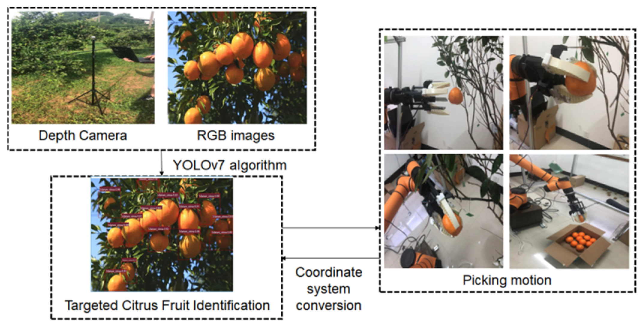 Agriculture 14 01227 g001