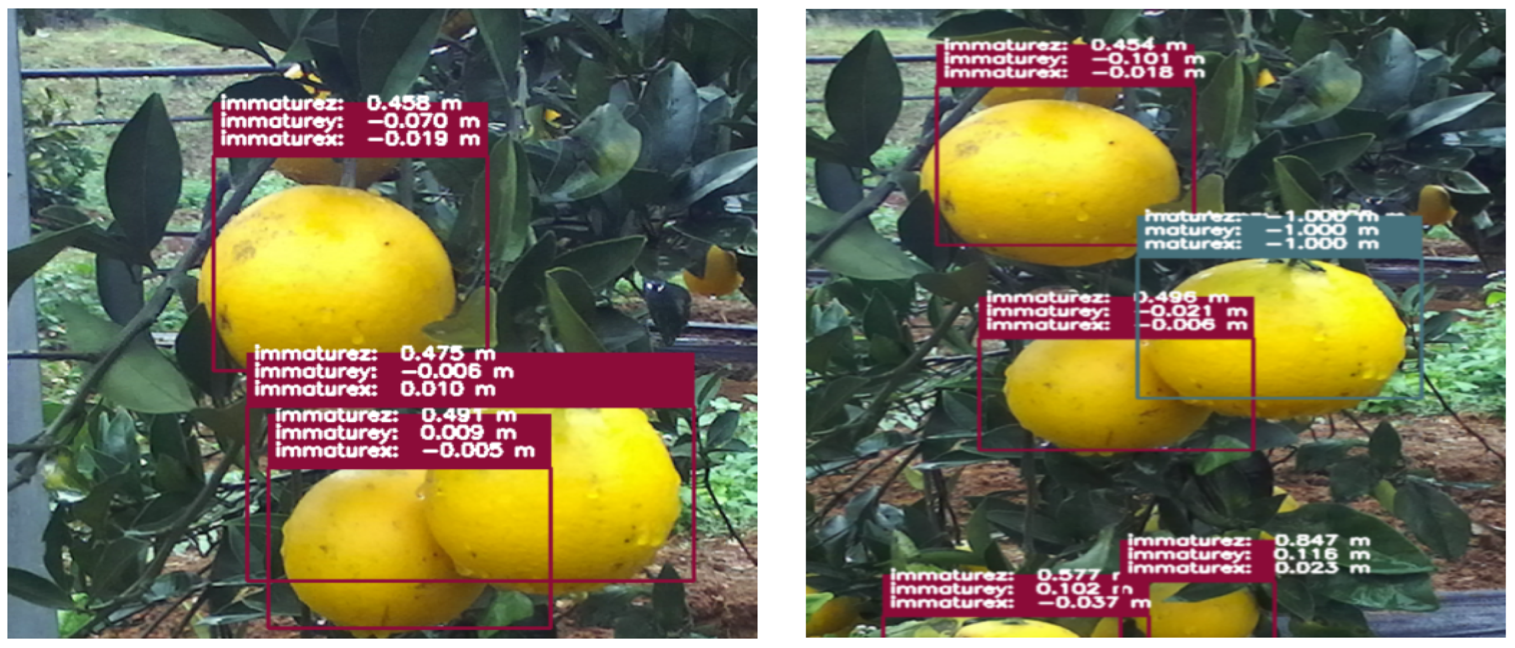 Agriculture 14 01227 g012