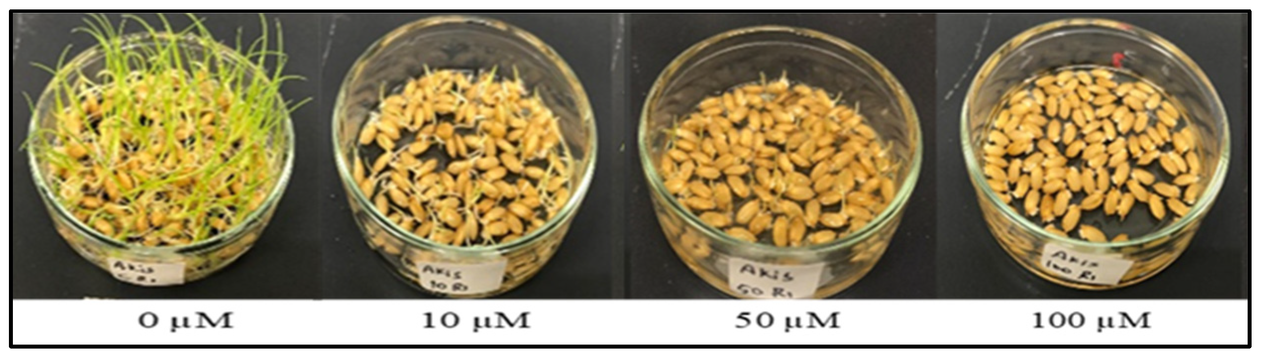 Agriculture 14 01229 g001