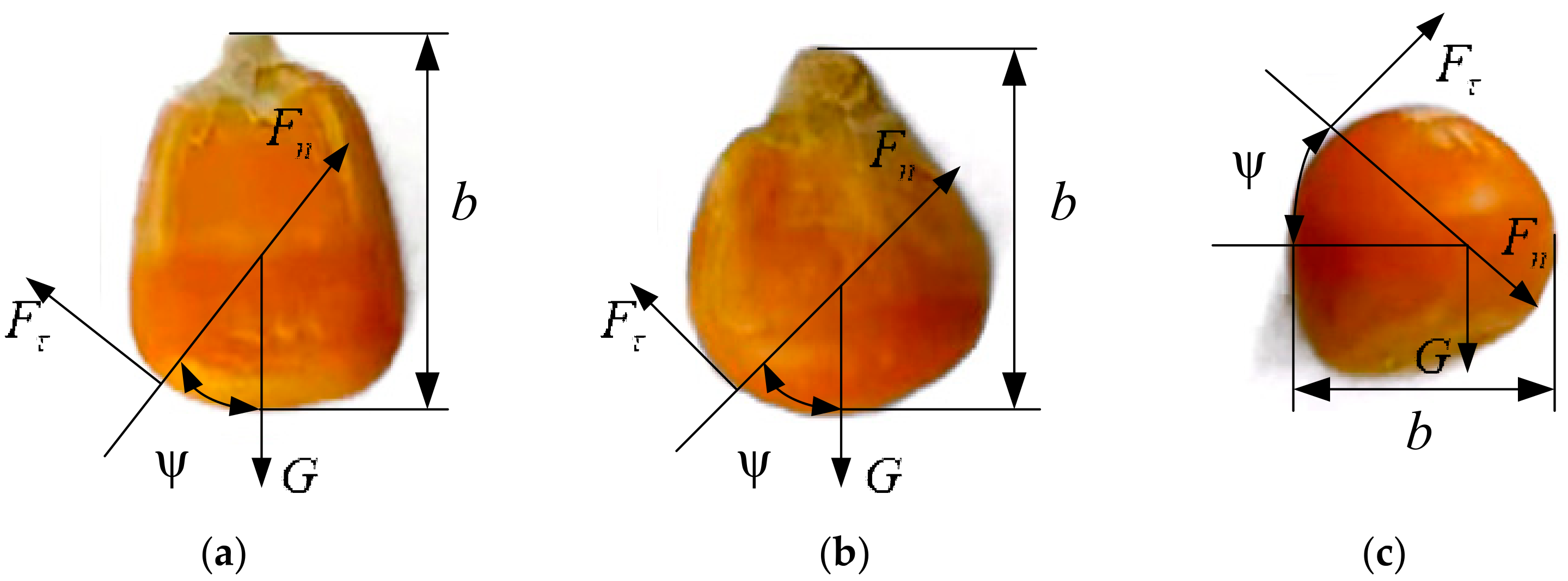 Agriculture 14 01237 g003