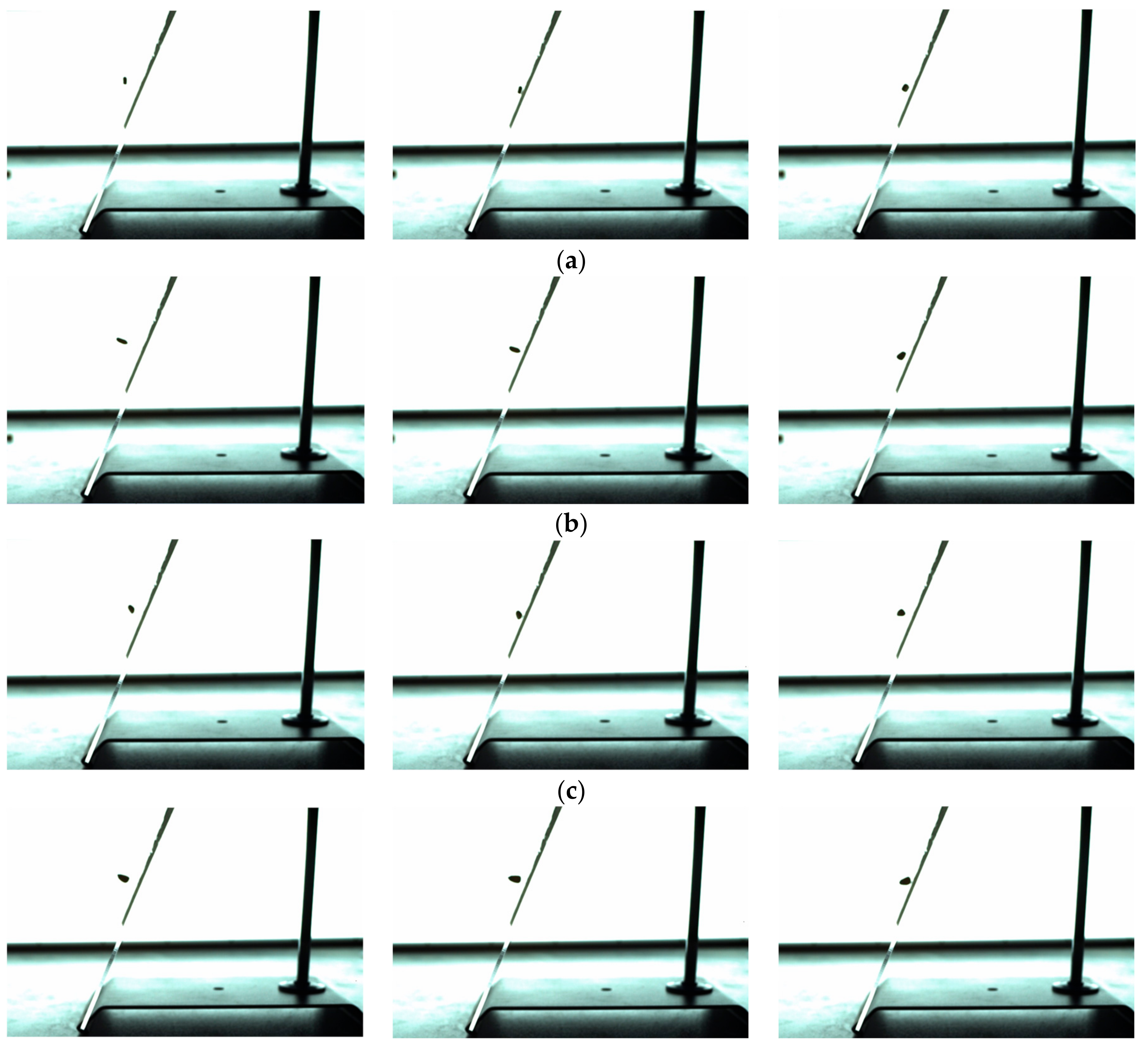 Agriculture 14 01237 g008