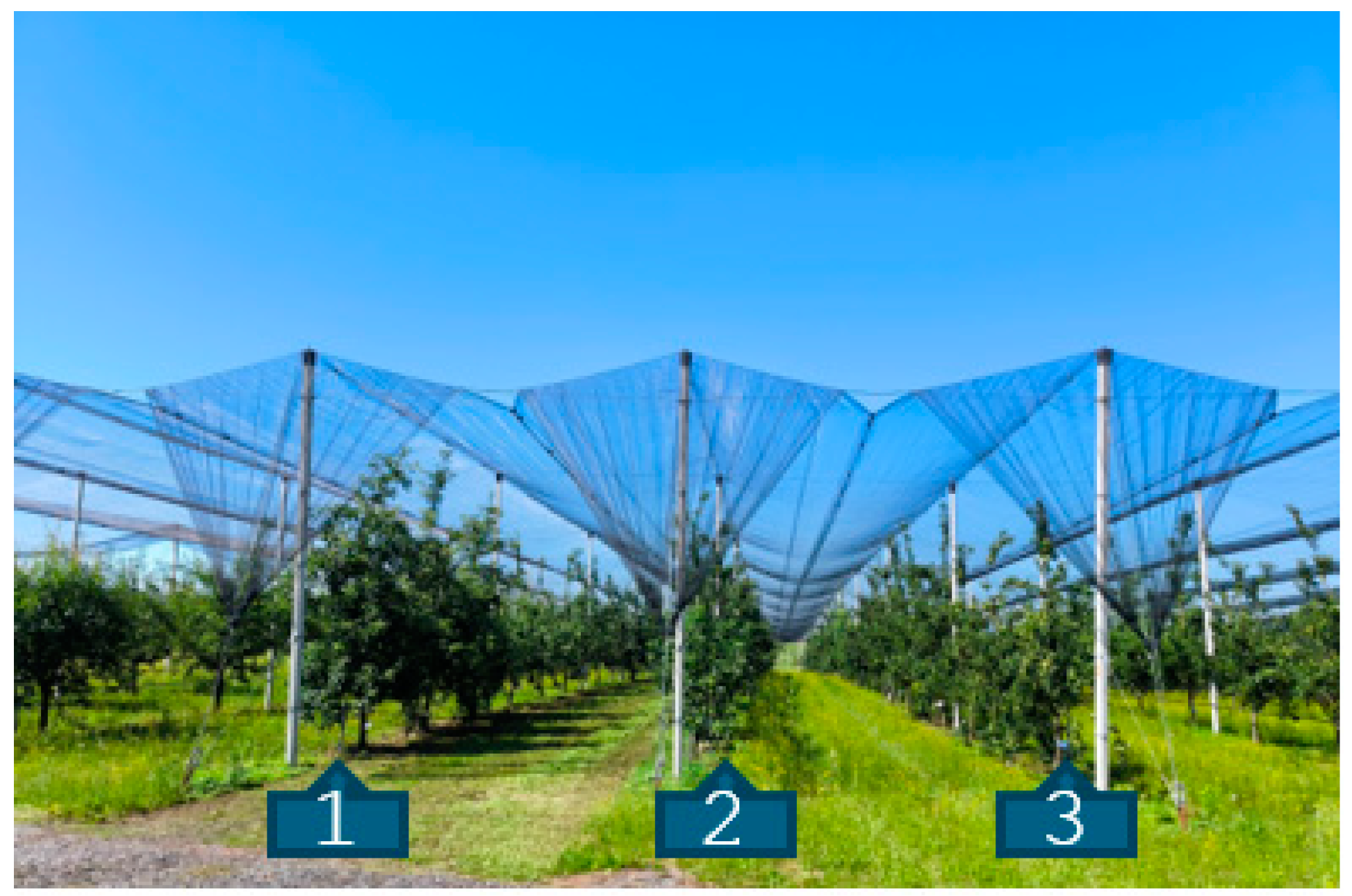 Agriculture 14 01239 g001