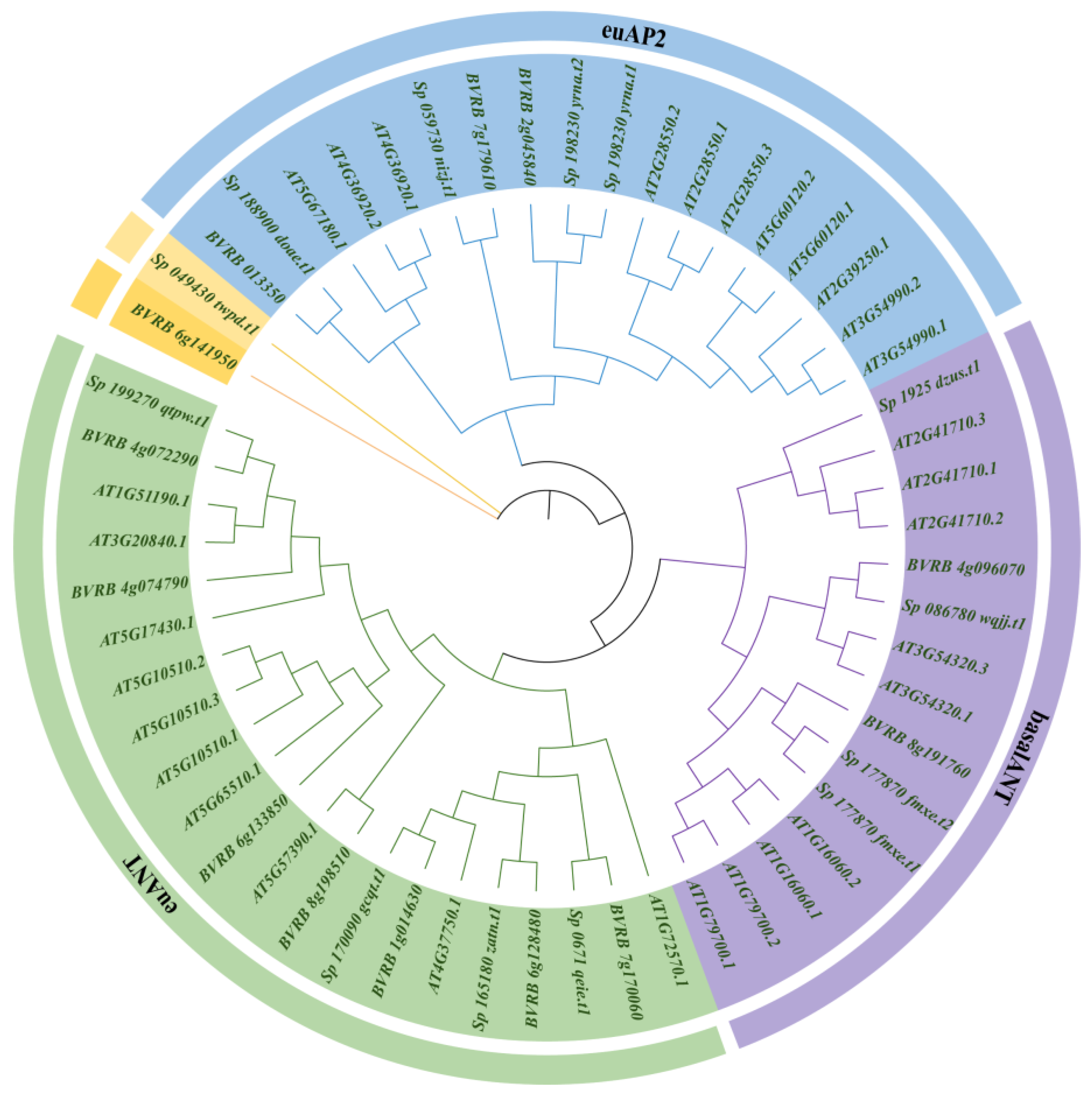 Agriculture 14 01273 g001