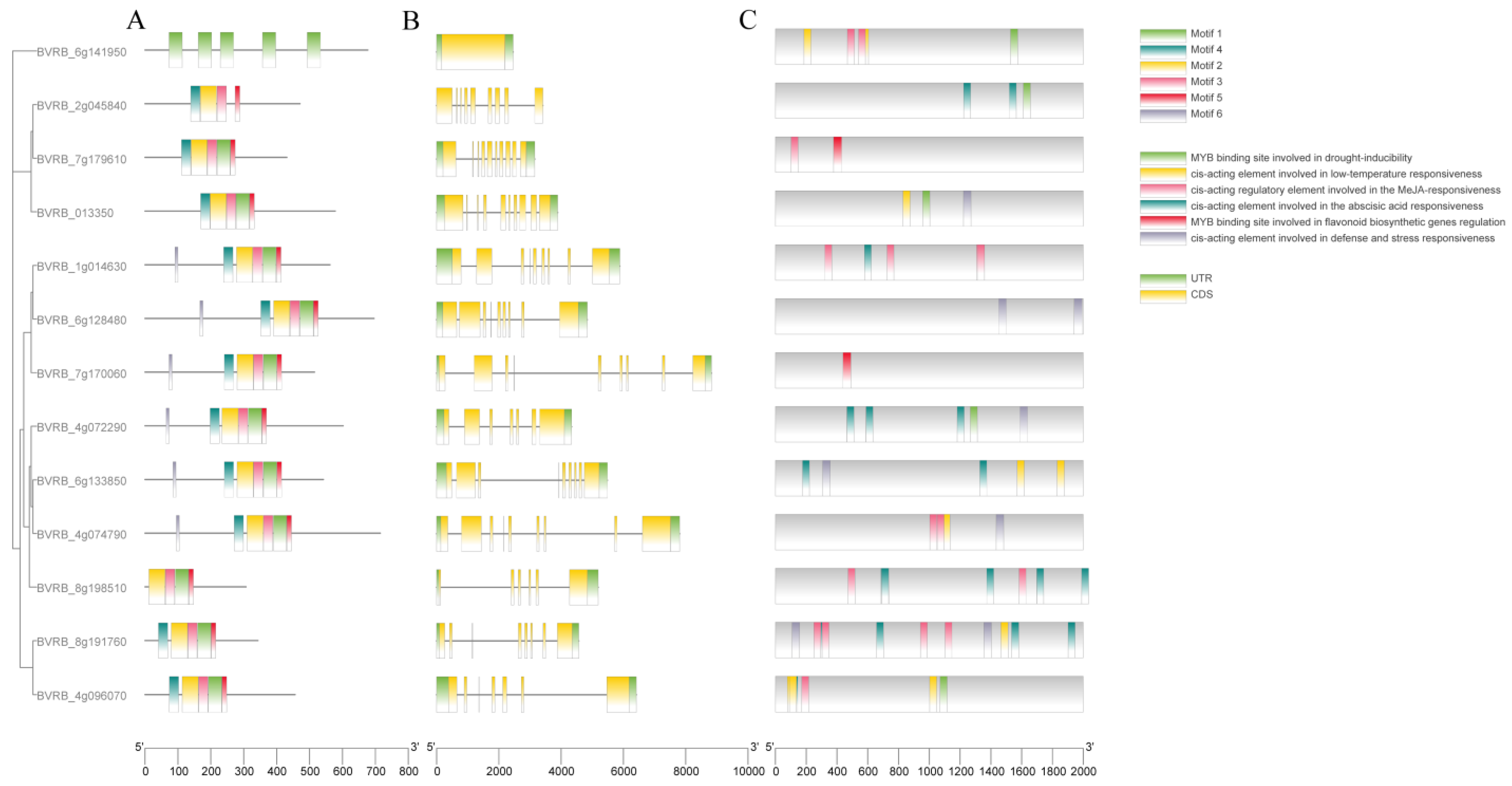 Agriculture 14 01273 g002