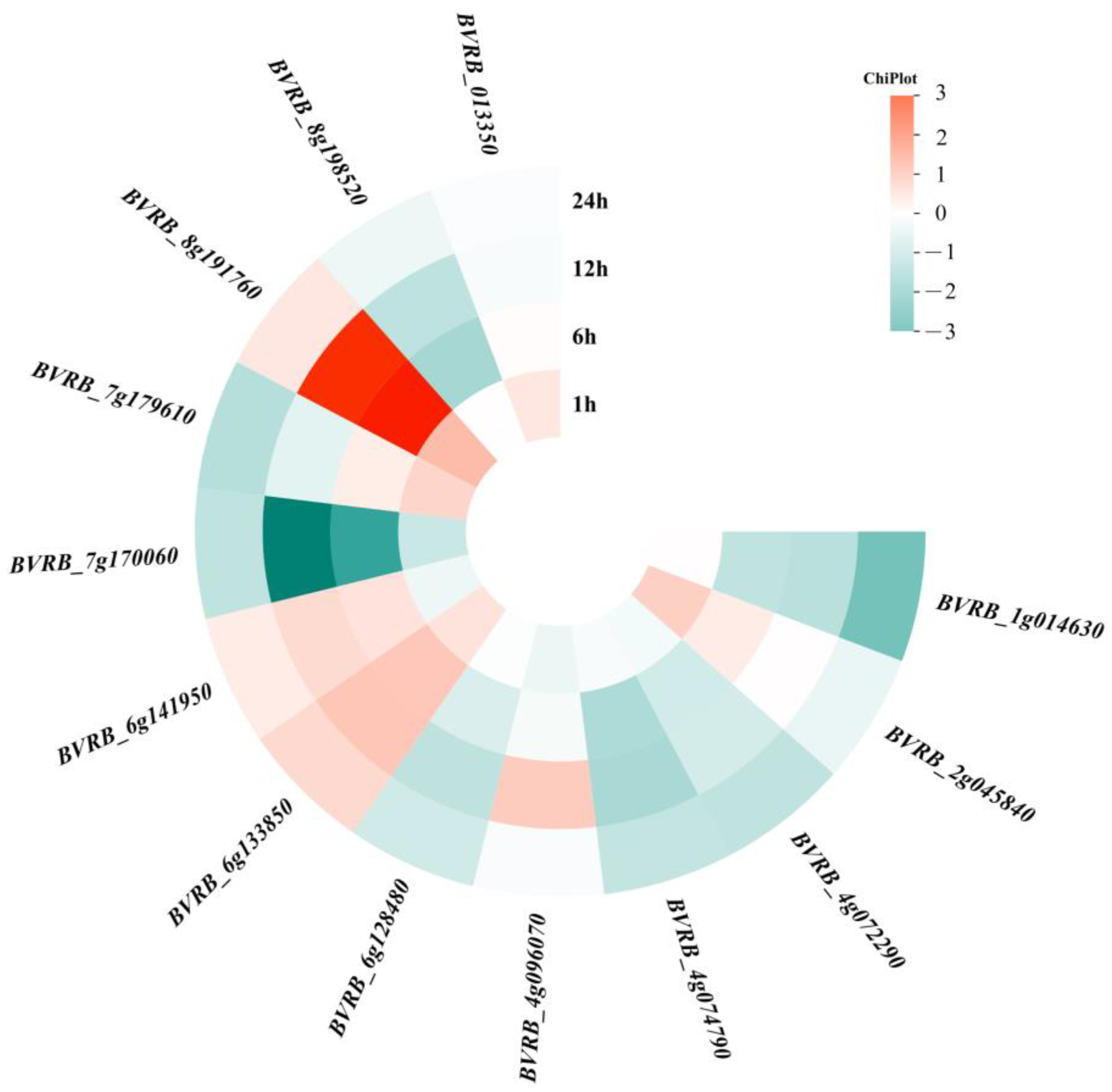 Agriculture 14 01273 g004
