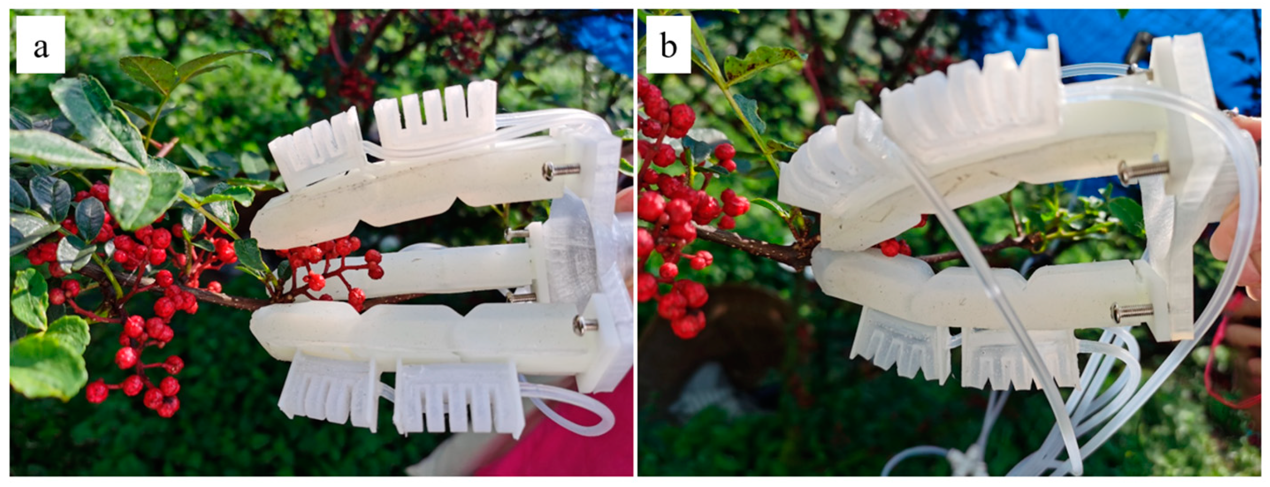 Agriculture 14 01276 g016