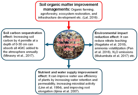 Agriculture 14 01290 g001