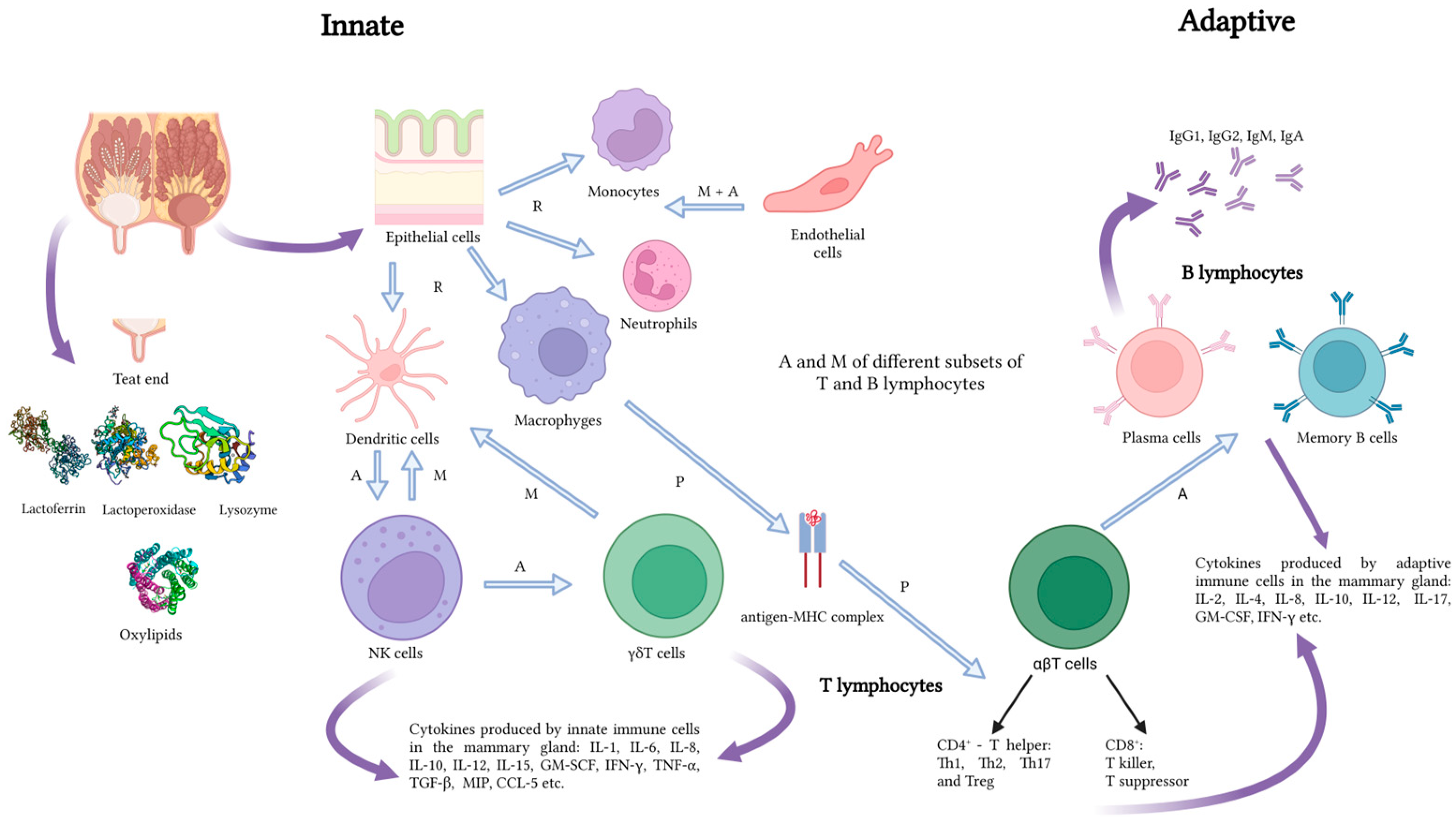Agriculture 14 01292 g001