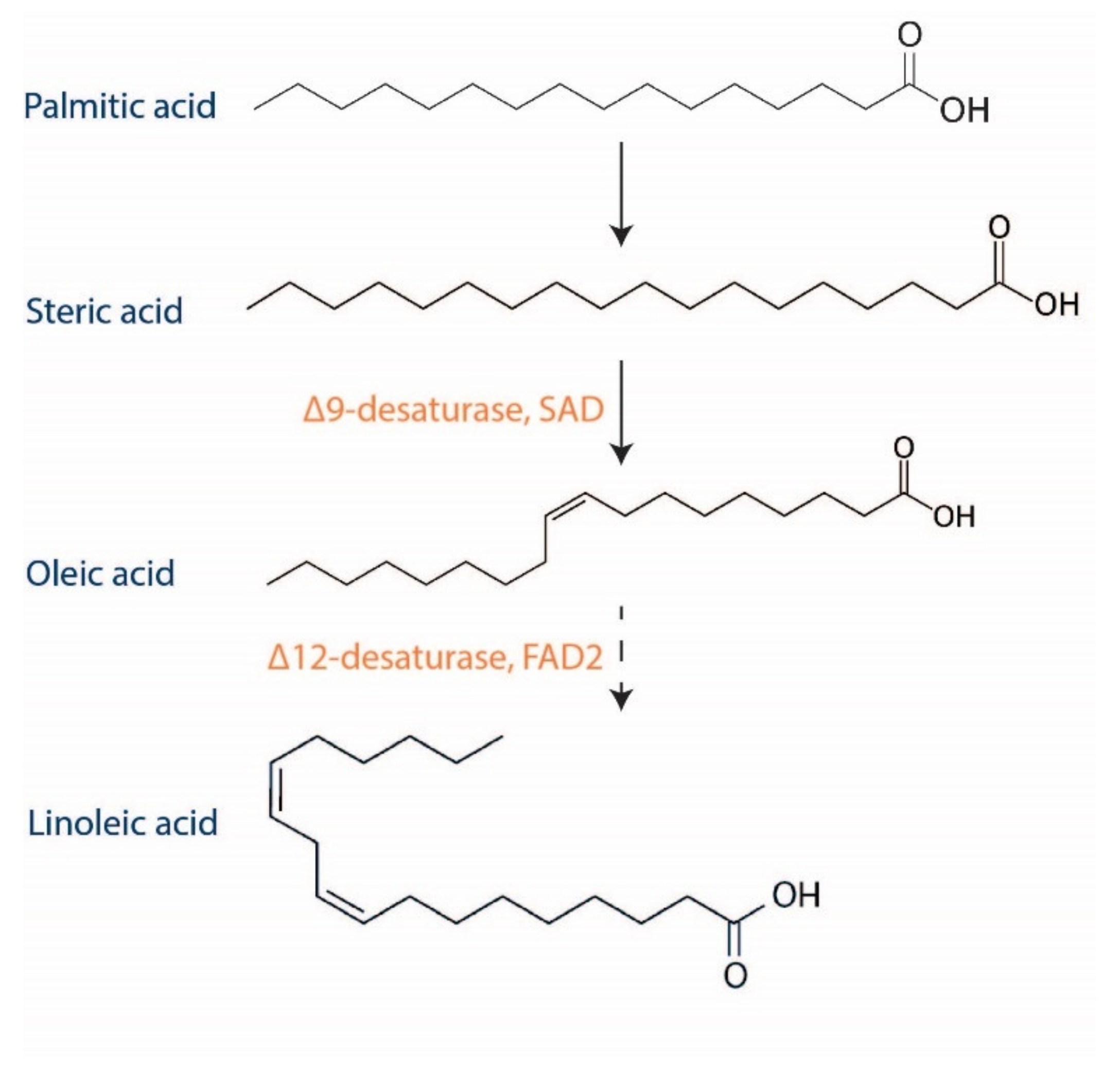 Agriculture 14 01306 g003