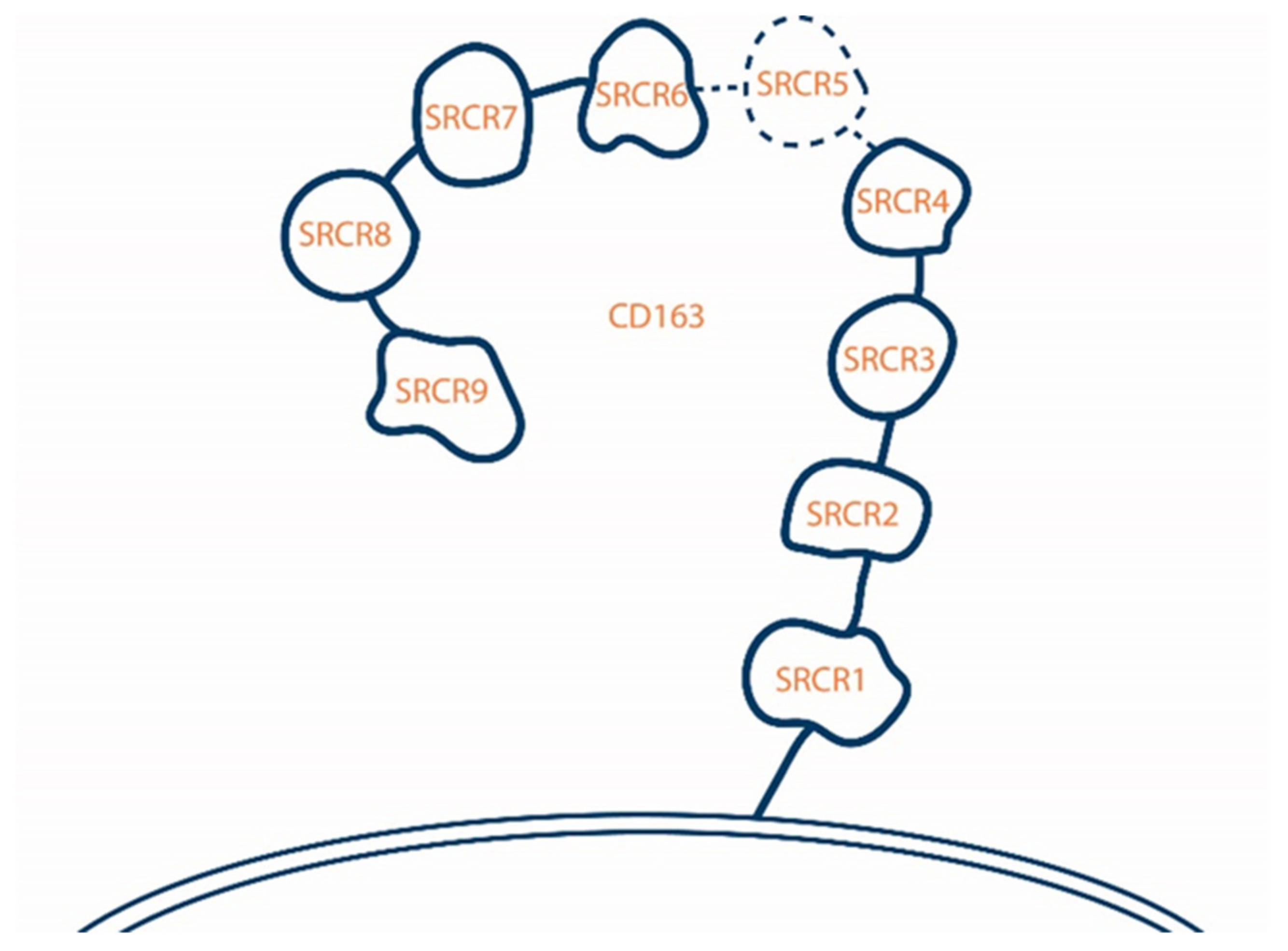 Agriculture 14 01306 g004