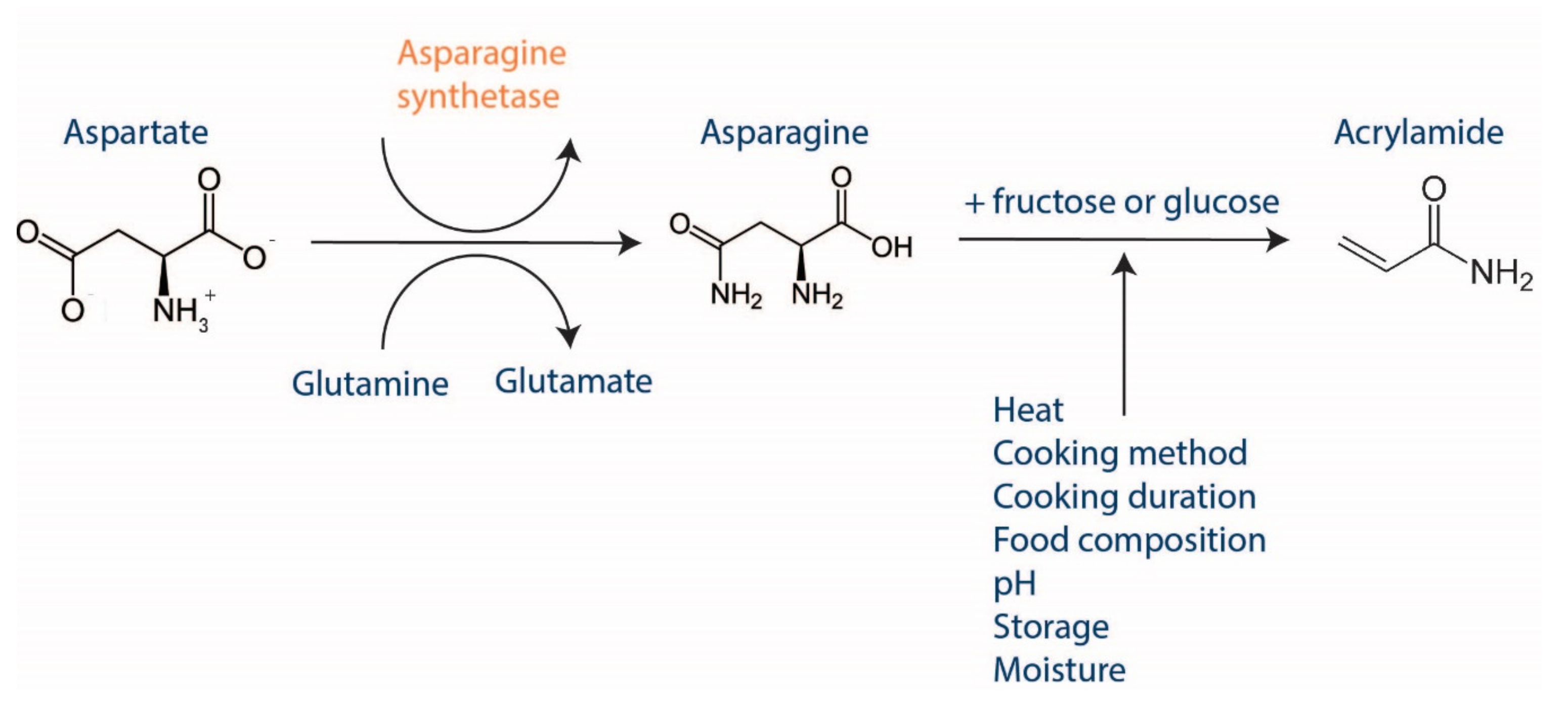 Agriculture 14 01306 g005