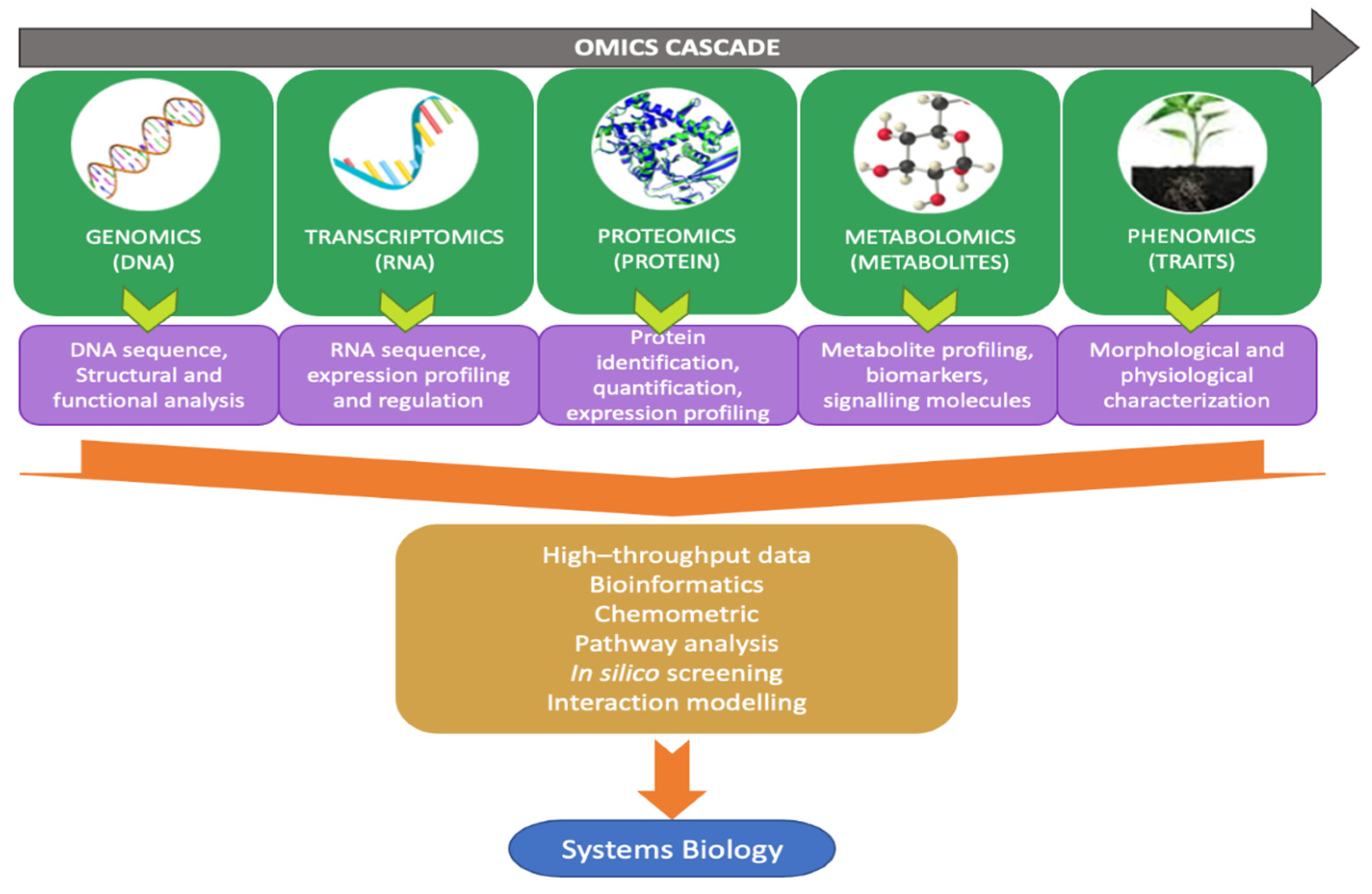 Agriculture 14 01307 g002 Agriculture 14 01307 g002