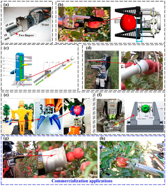 Agriculture 14 01310 g005