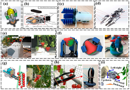 Agriculture 14 01310 g006